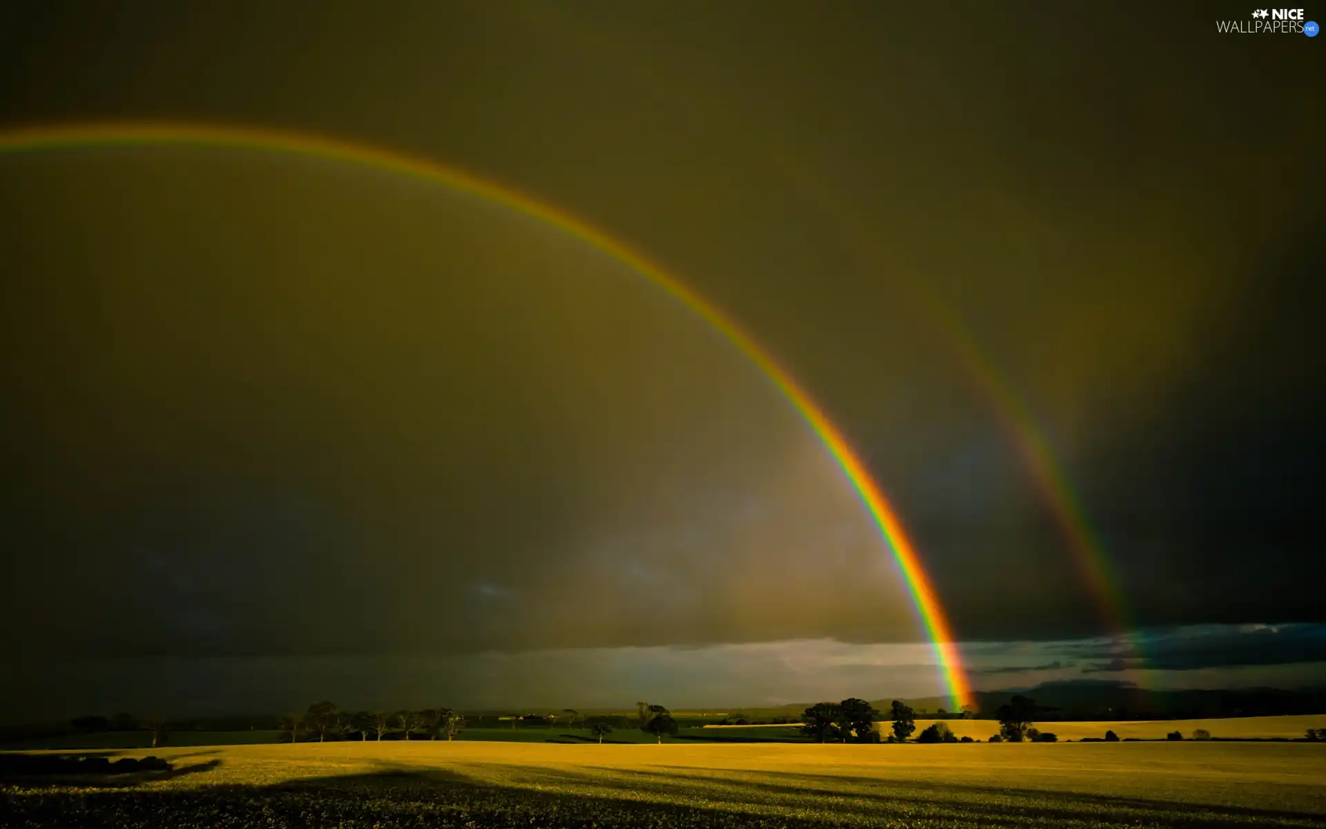 Black, Sky, by, Polami, rainbows