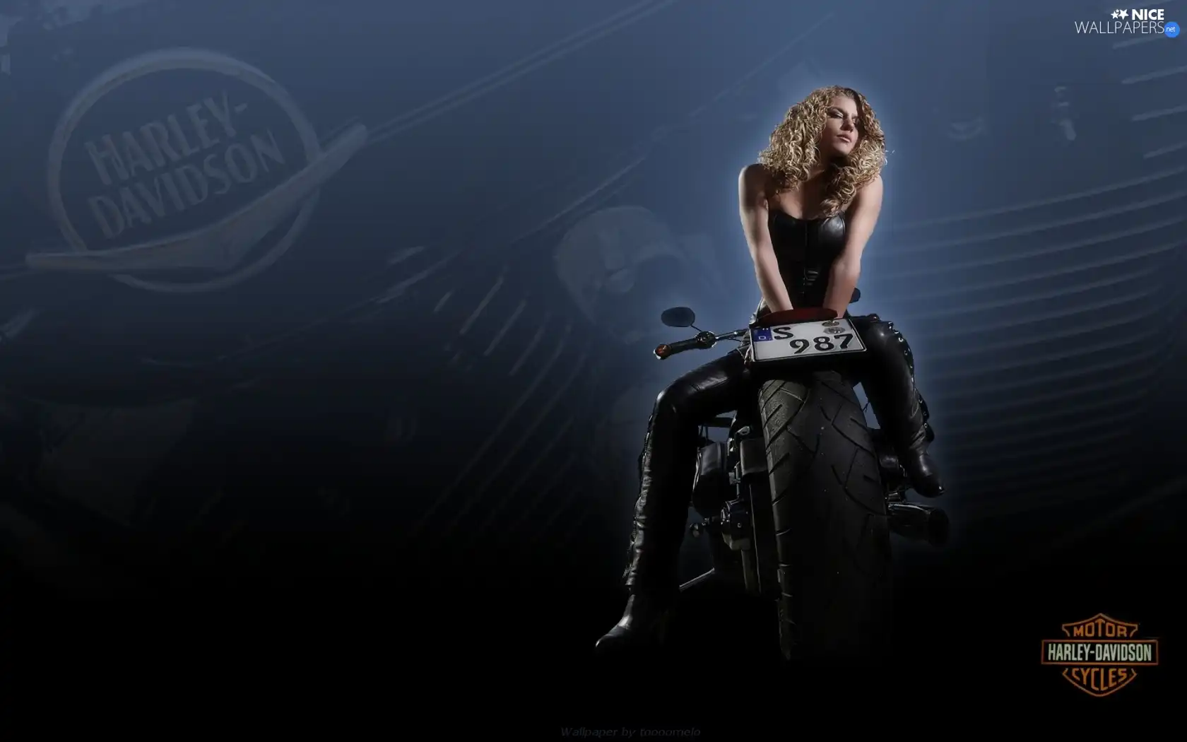 Motorbike, Beauty, Blonde, Harley-Davidson