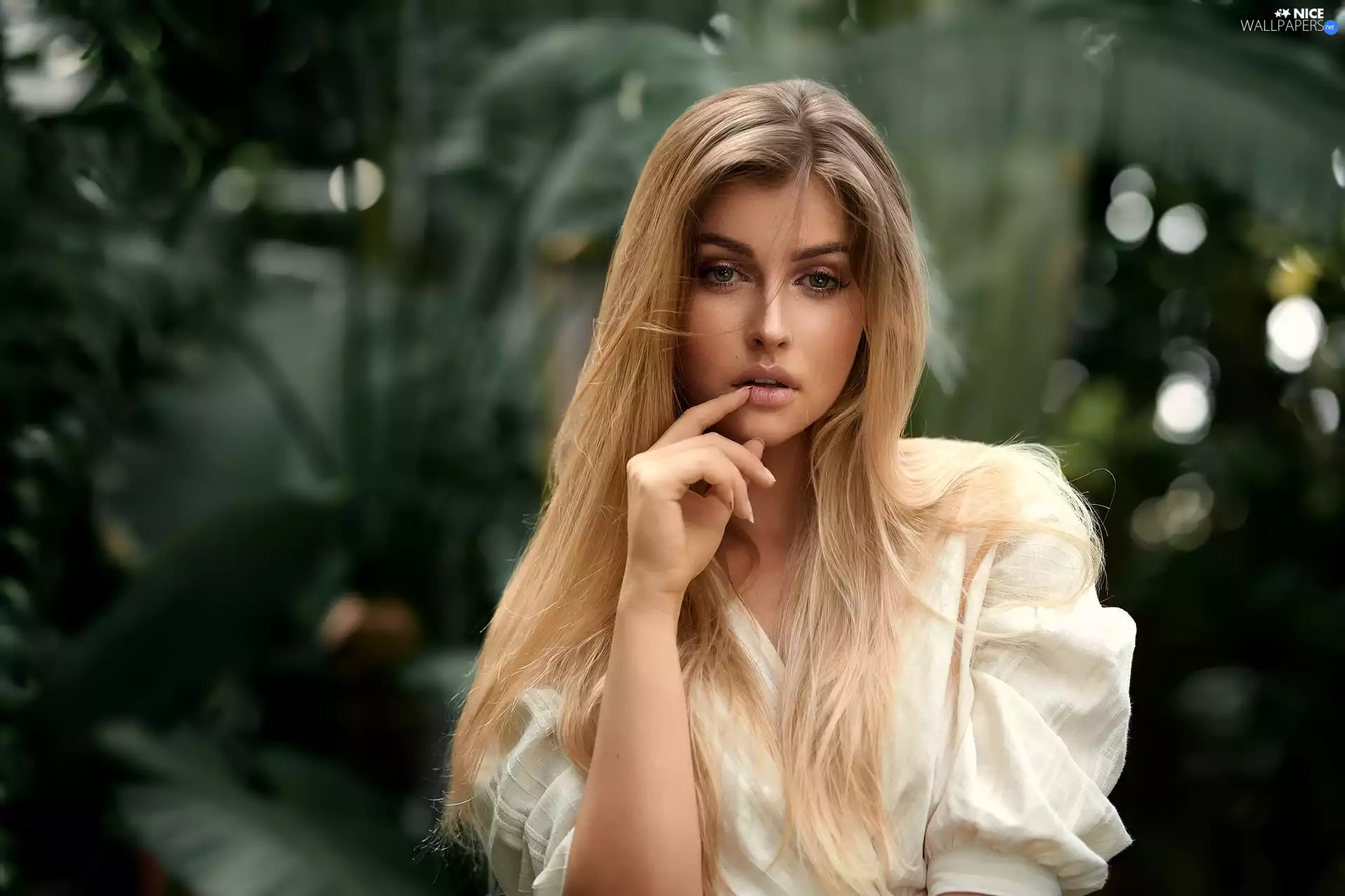 longhaired, White, Blouse, Blonde