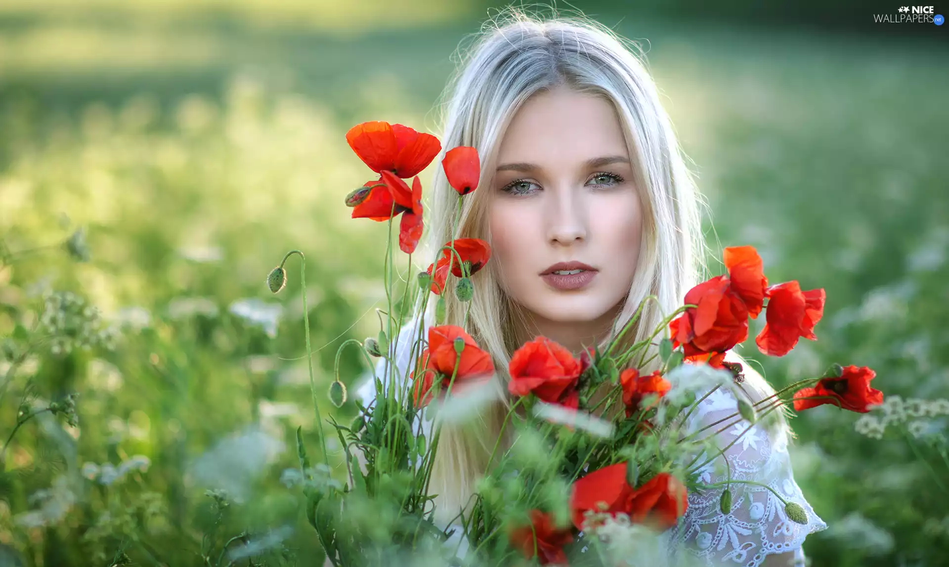 Women, Flowers, papavers, Blonde