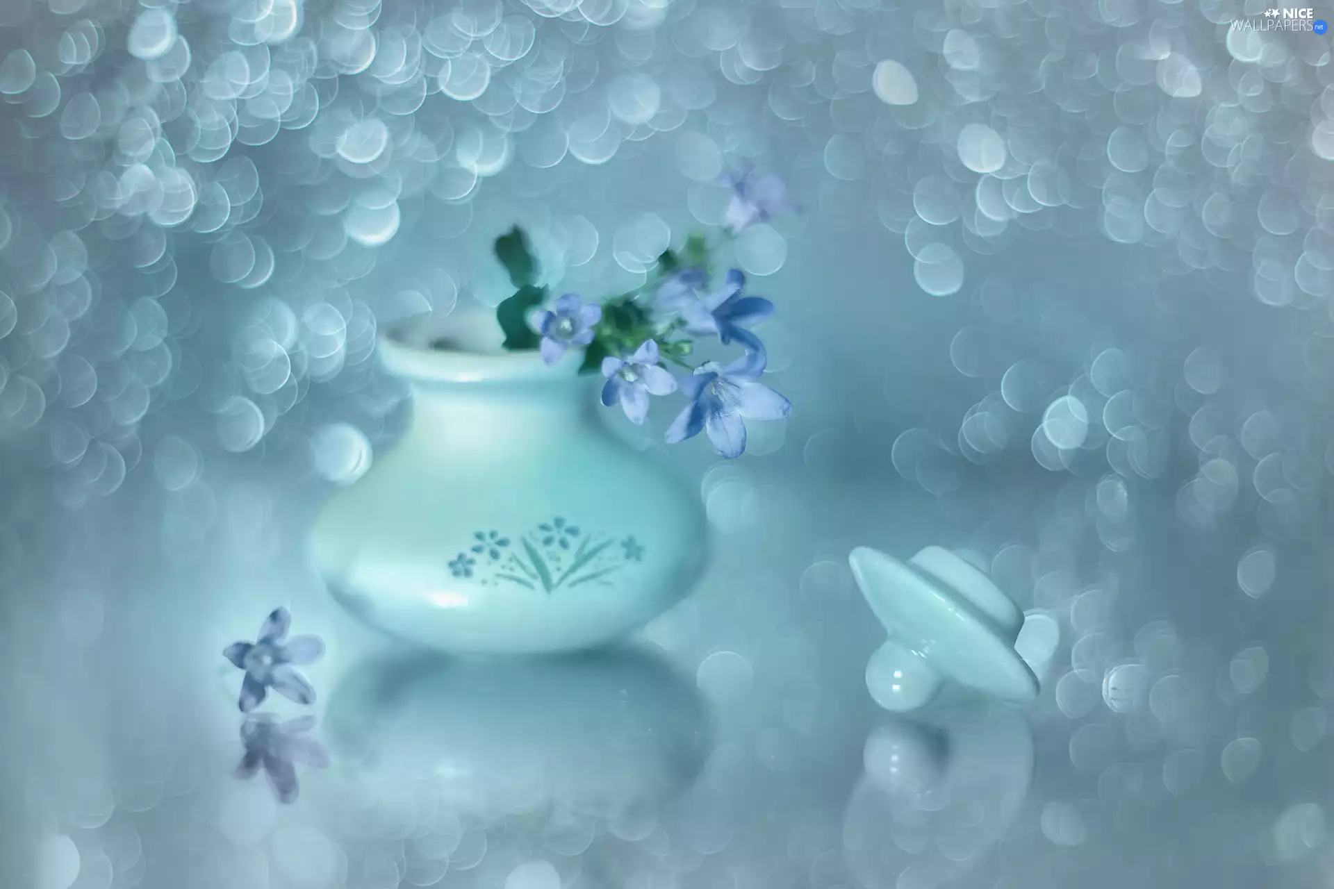 Campanula, ringtones, vase, Blue