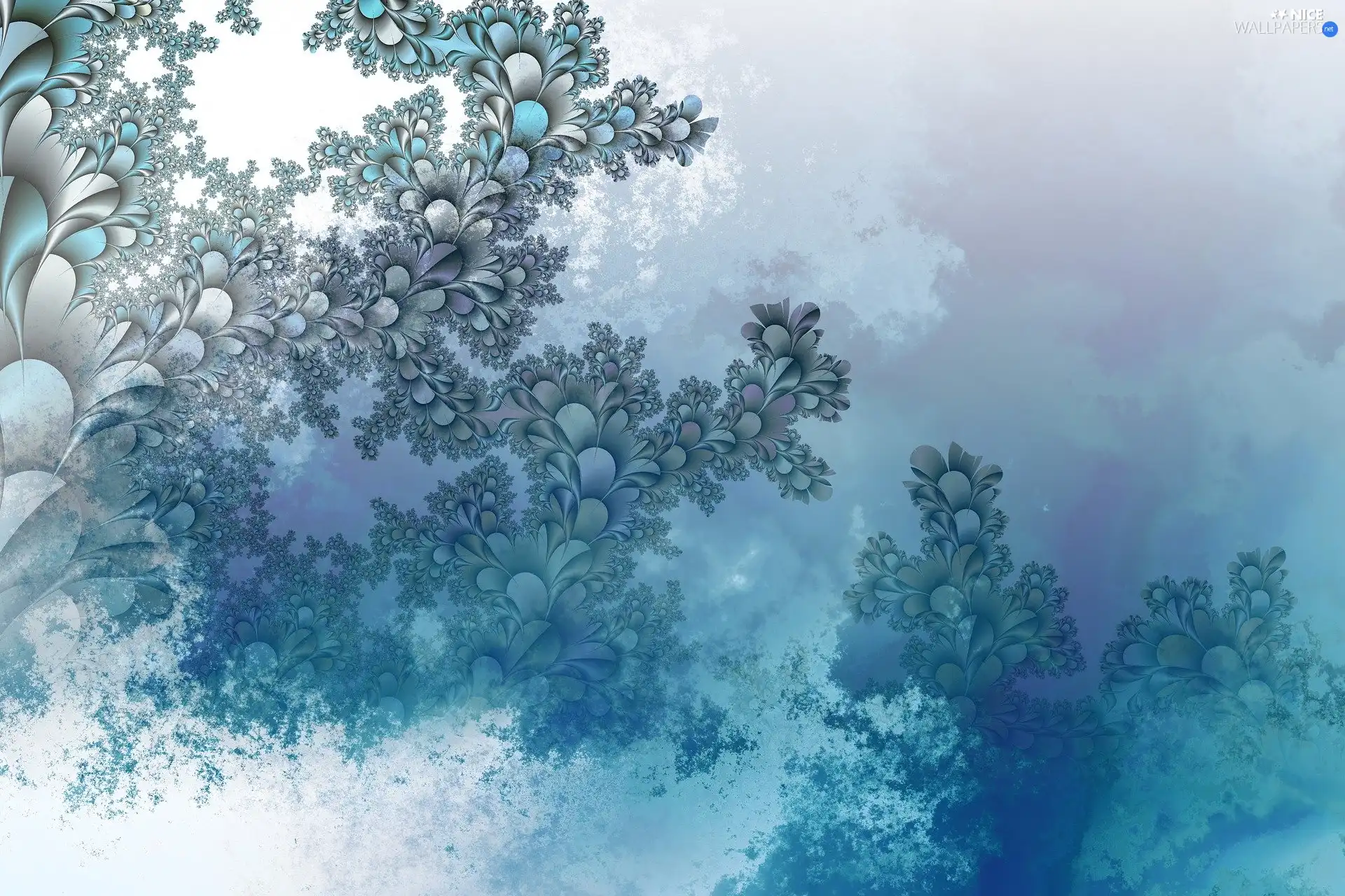 Blue-White, Fraktal