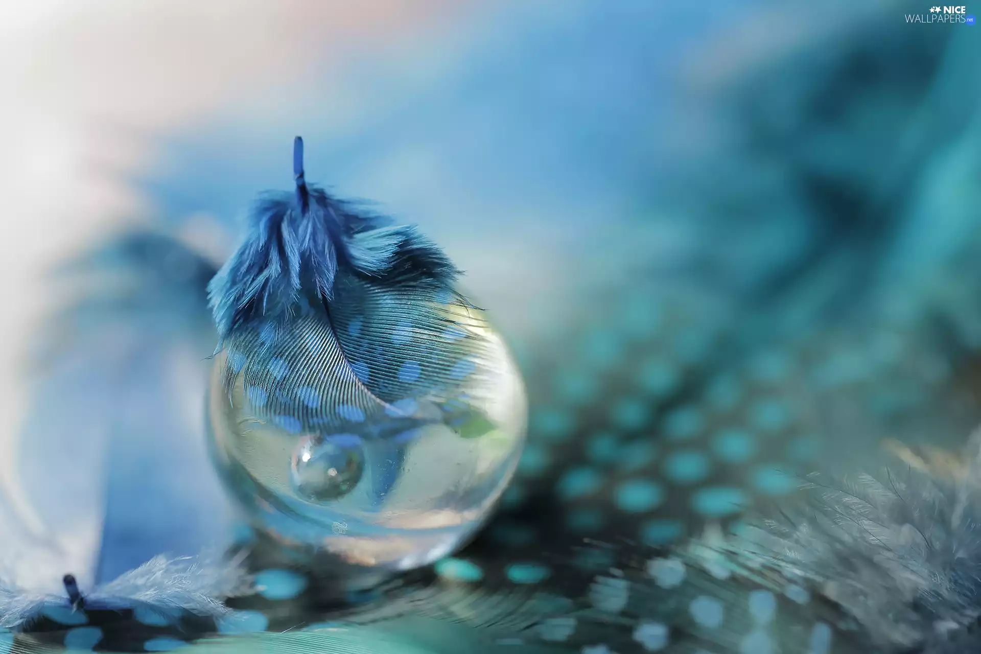 pen, ball, Close, Blue