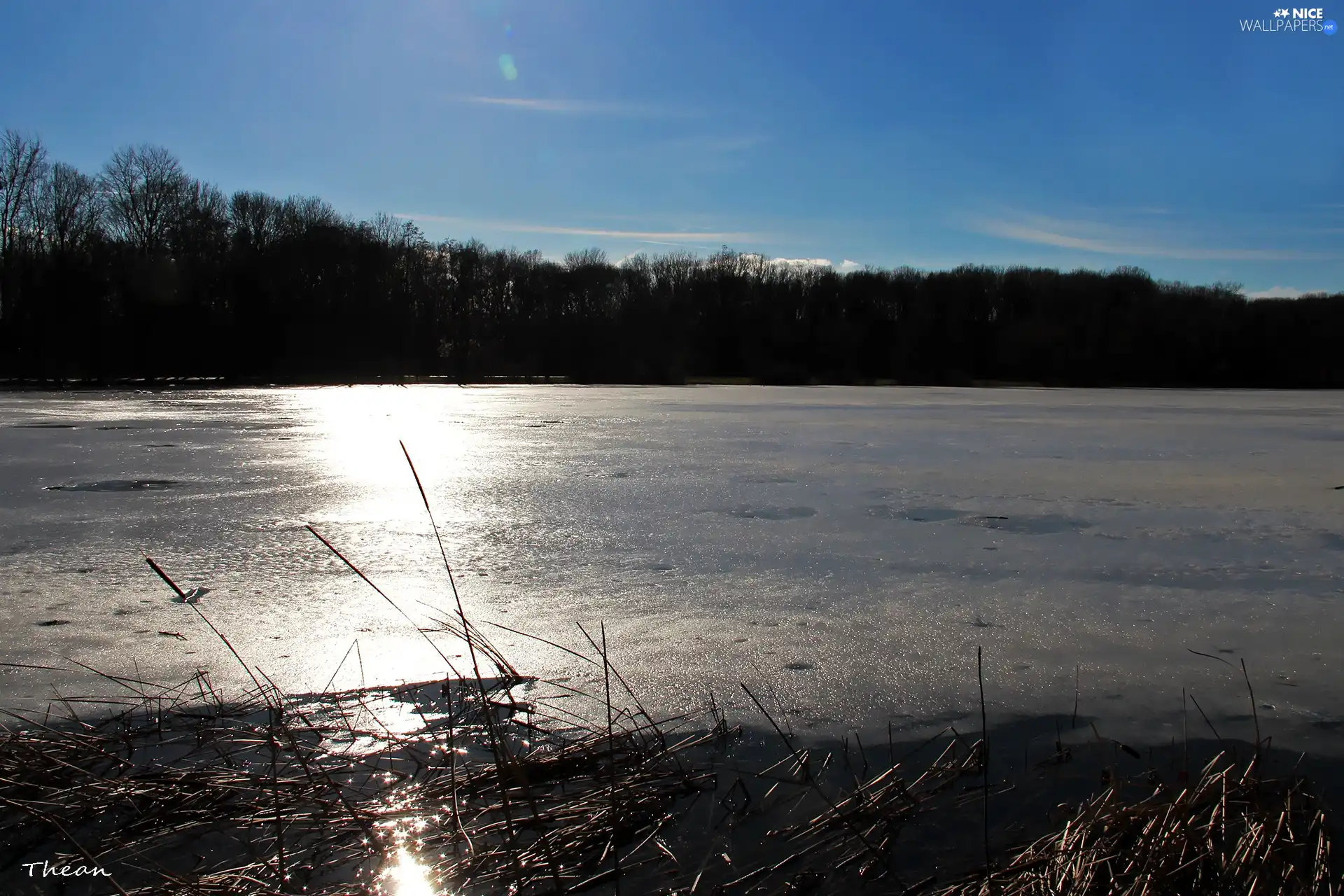 trees, frozen, blue, Sky, viewes, lake