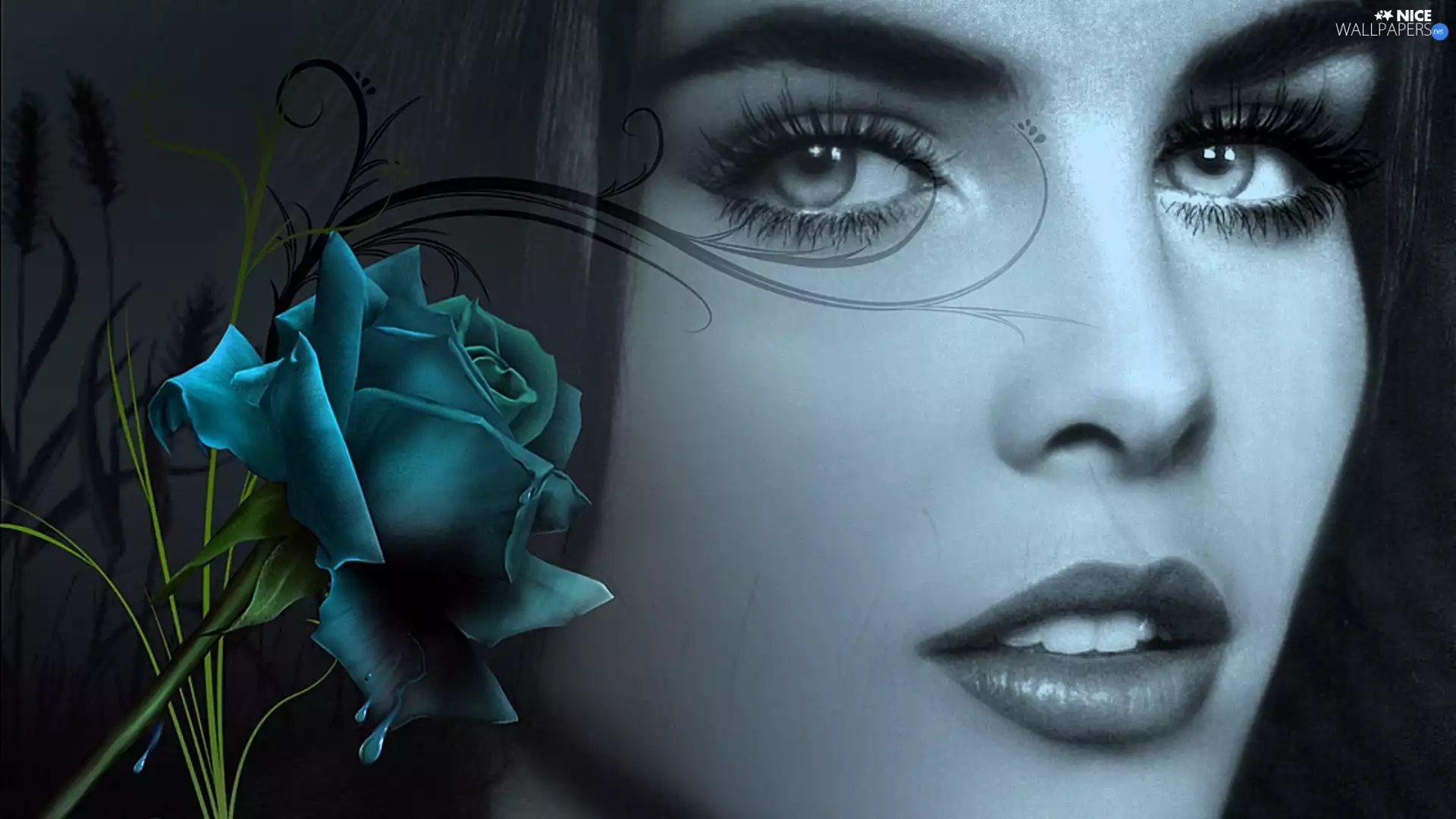 Women, rose, graphics, Blue