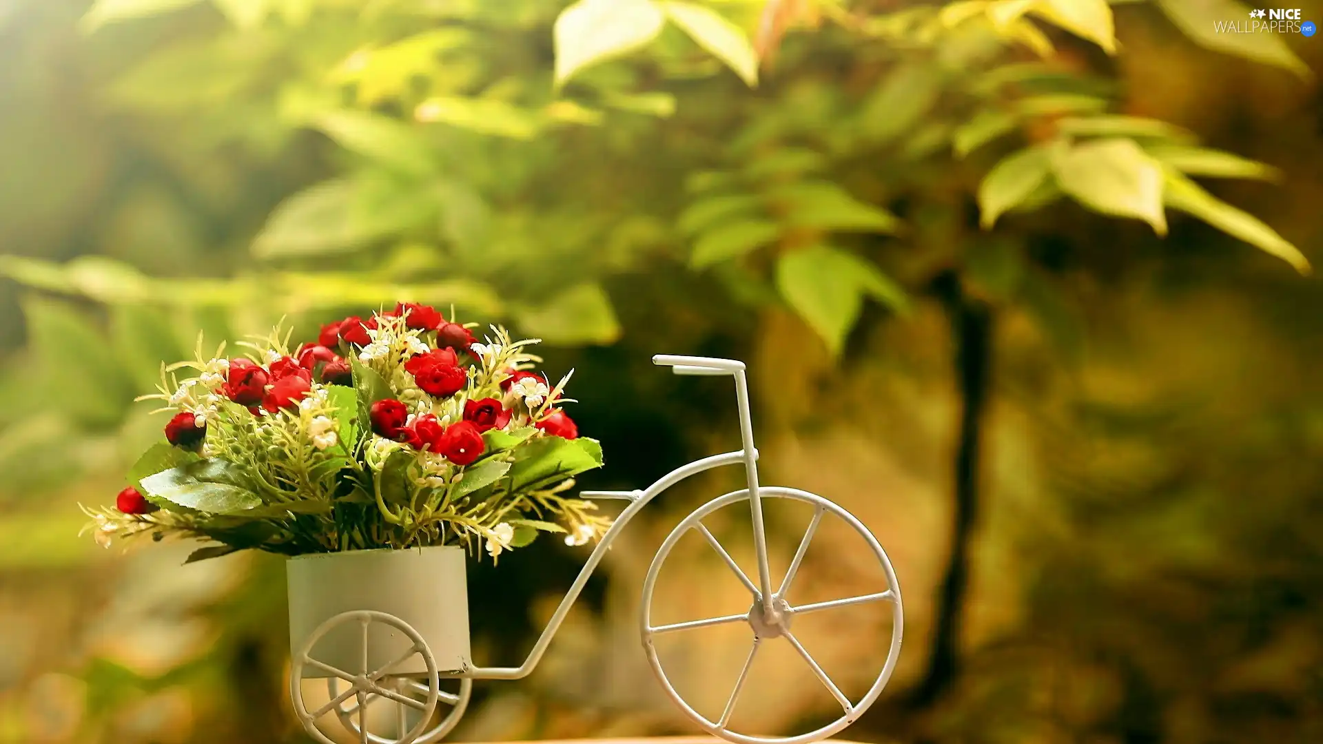 Flowers, trees, blur, Bicycle