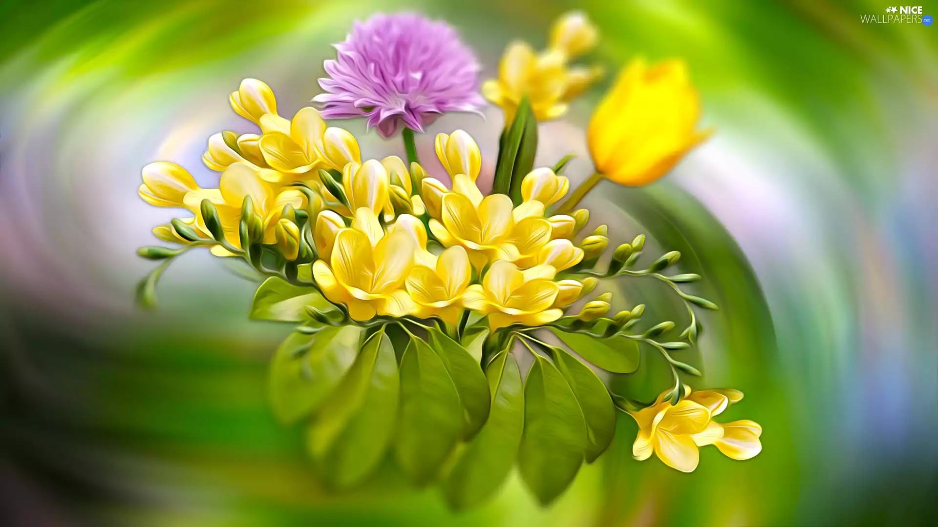 tulip, Flowers, graphics, blur, Freesias, Lucerne