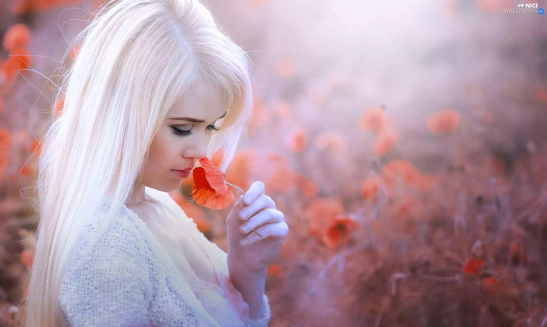 girl, red weed, Blurred Poppies, Blonde