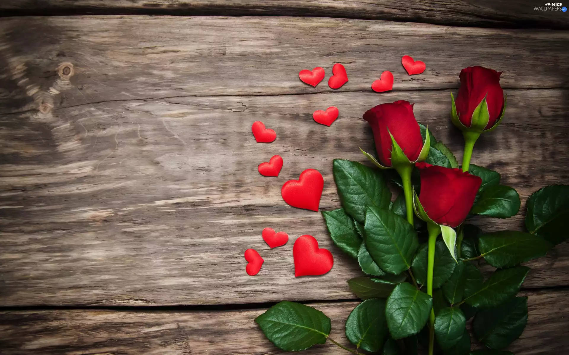 board, roses, hearts