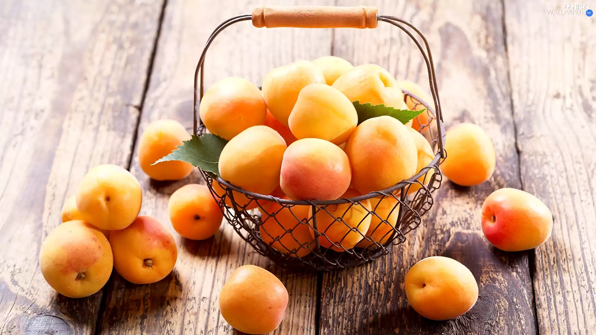basket, boarding, apricots, leaves, Fruits