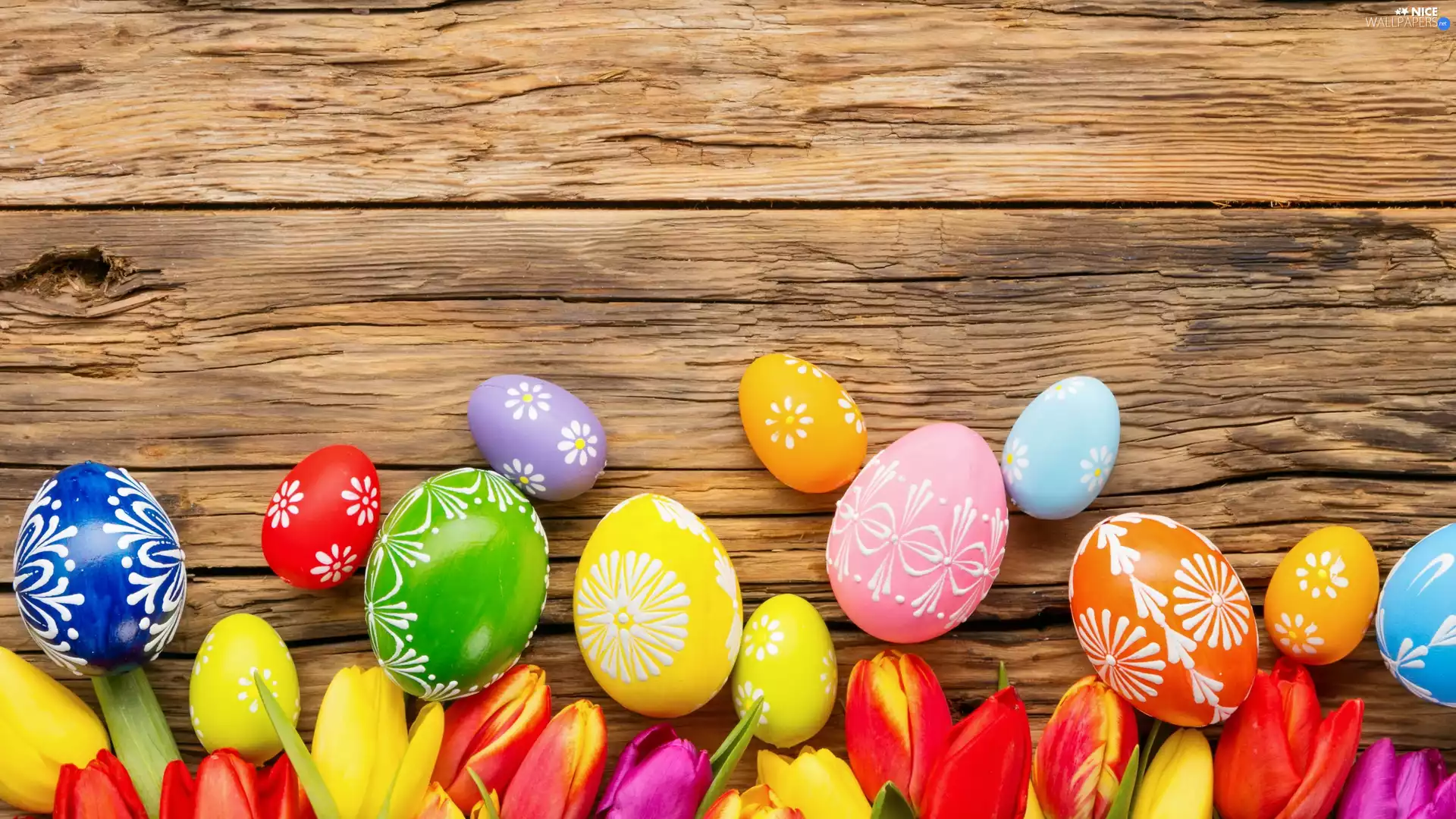 Tulips, boarding, color, eggs, Easter