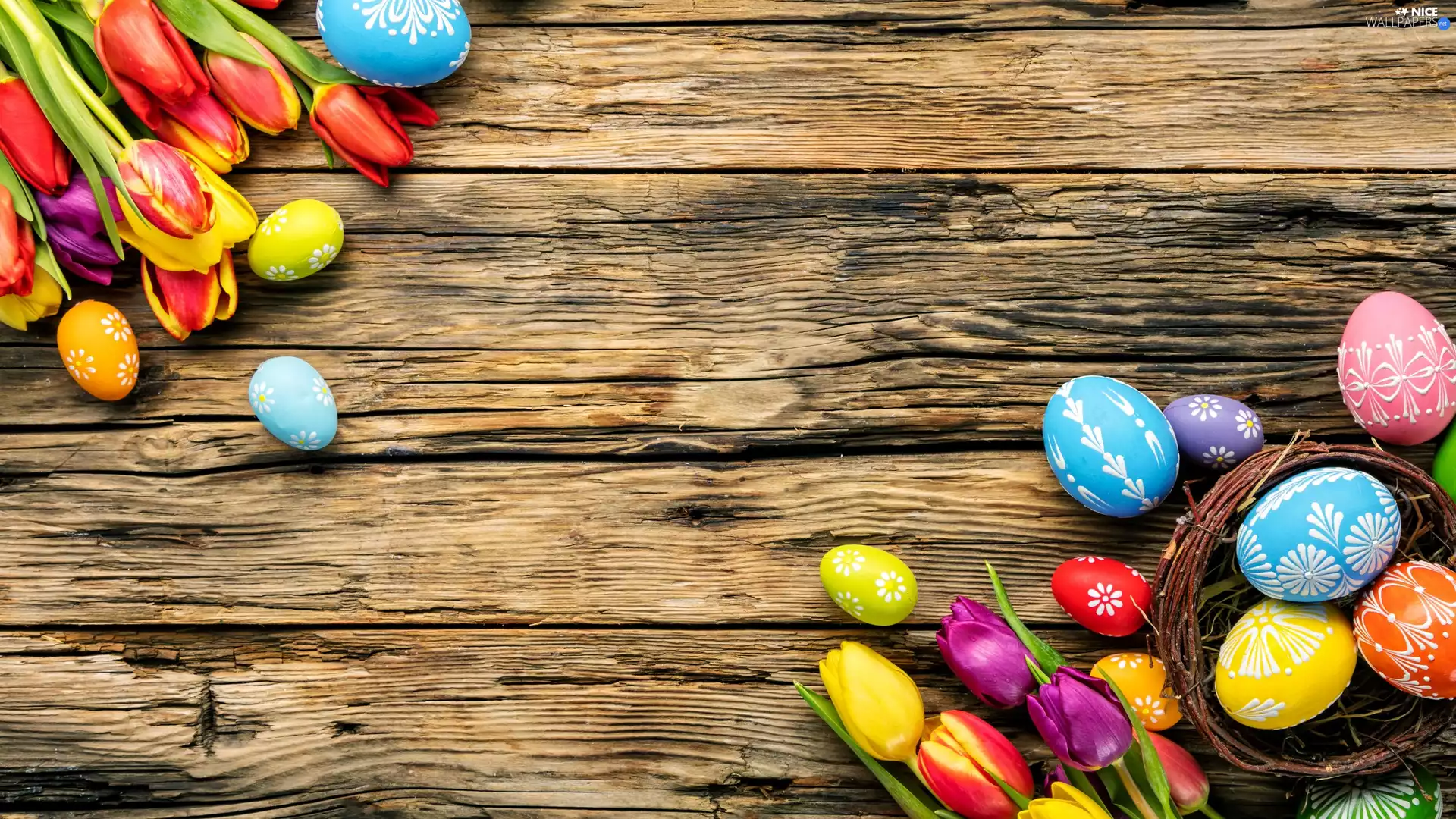 eggs, boarding, color, Tulips, Easter