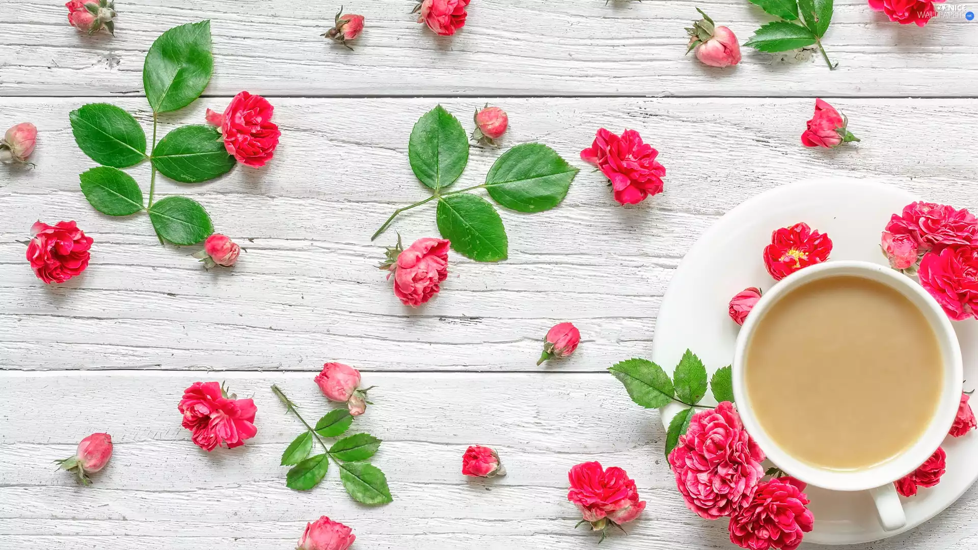Leaf, boarding, cup, Flowers, coffee