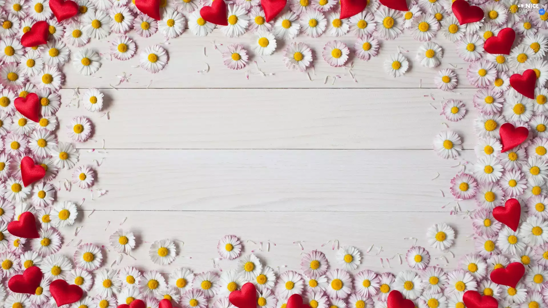 boarding, daisies, hearts