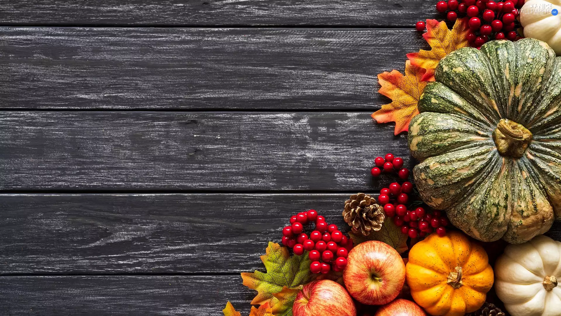 apples, boarding, Leaf, cones, pumpkin