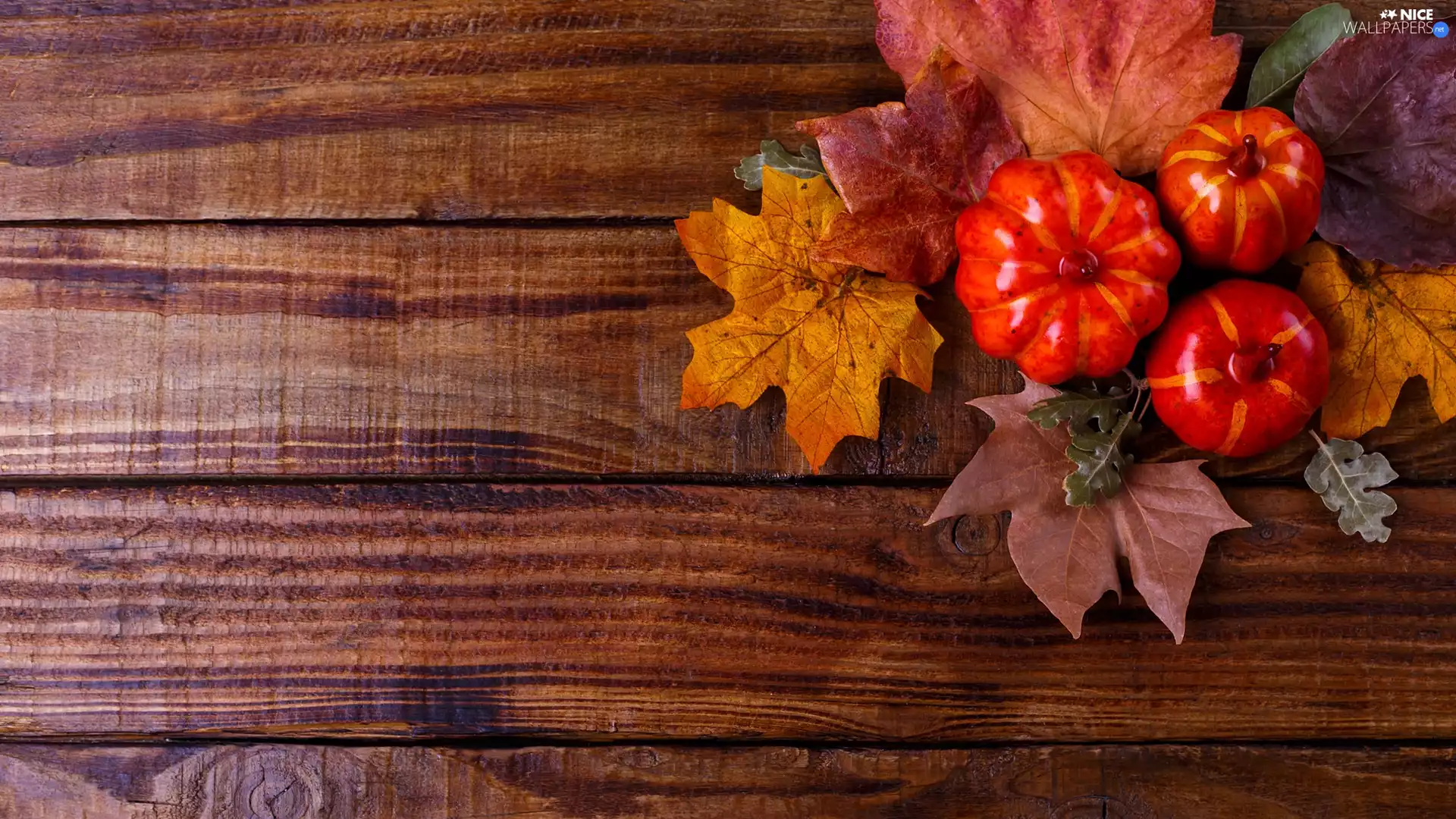 boarding, pumpkin, Leaf