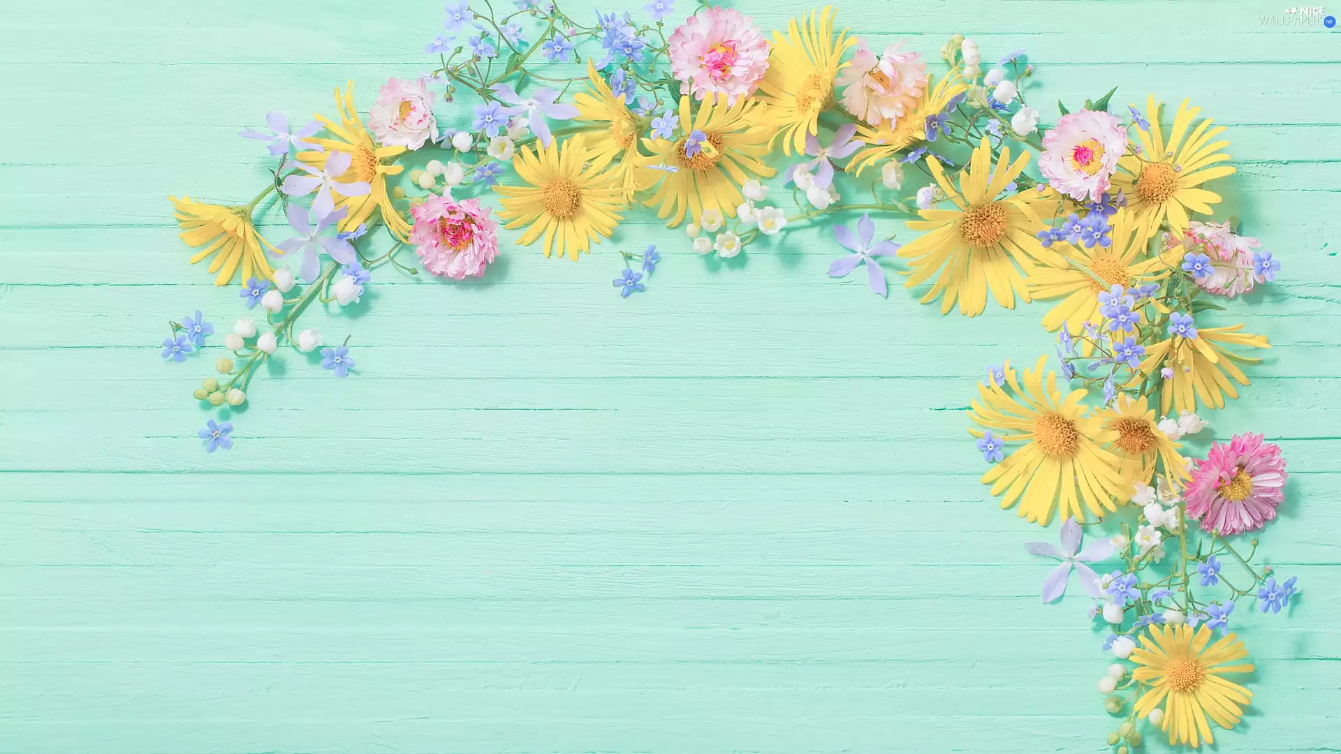 daisies, boarding, lilies, Forget, Flowers