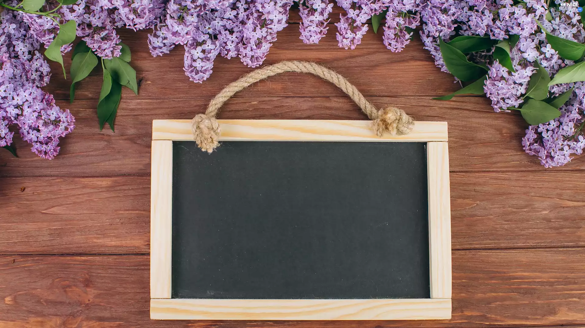 boarding, without, plate