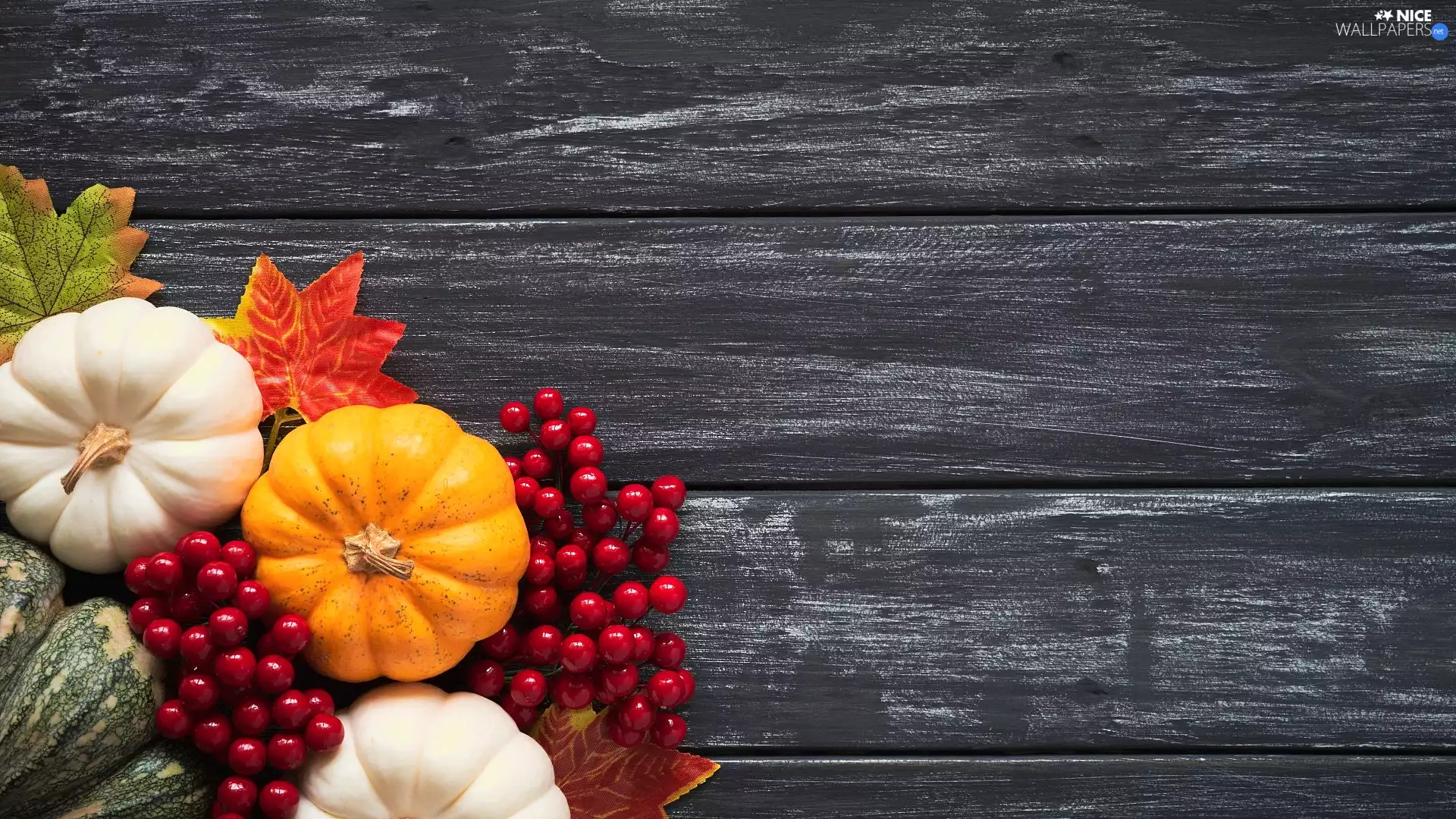 Artificial, pumpkin, Leaf, boarding, blueberries, Red