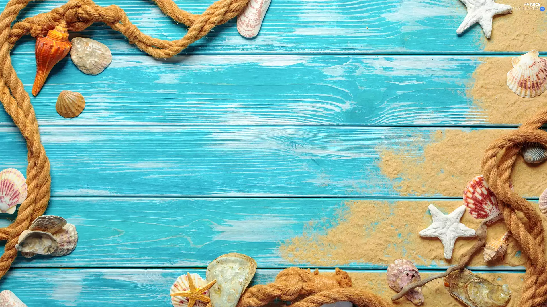 line, starfish, Blue, boarding, Sand, Shells