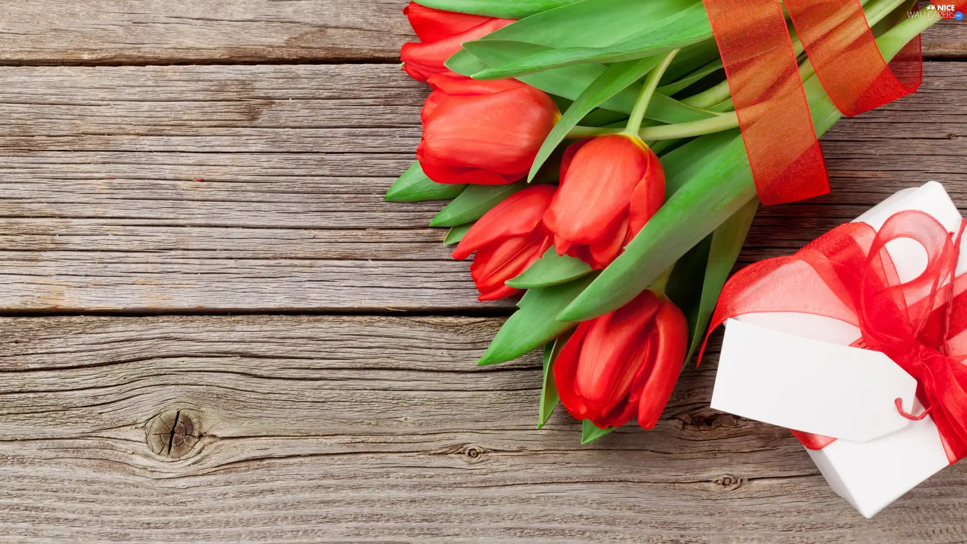 Present, Red, scribble, boarding, ribbon, Tulips