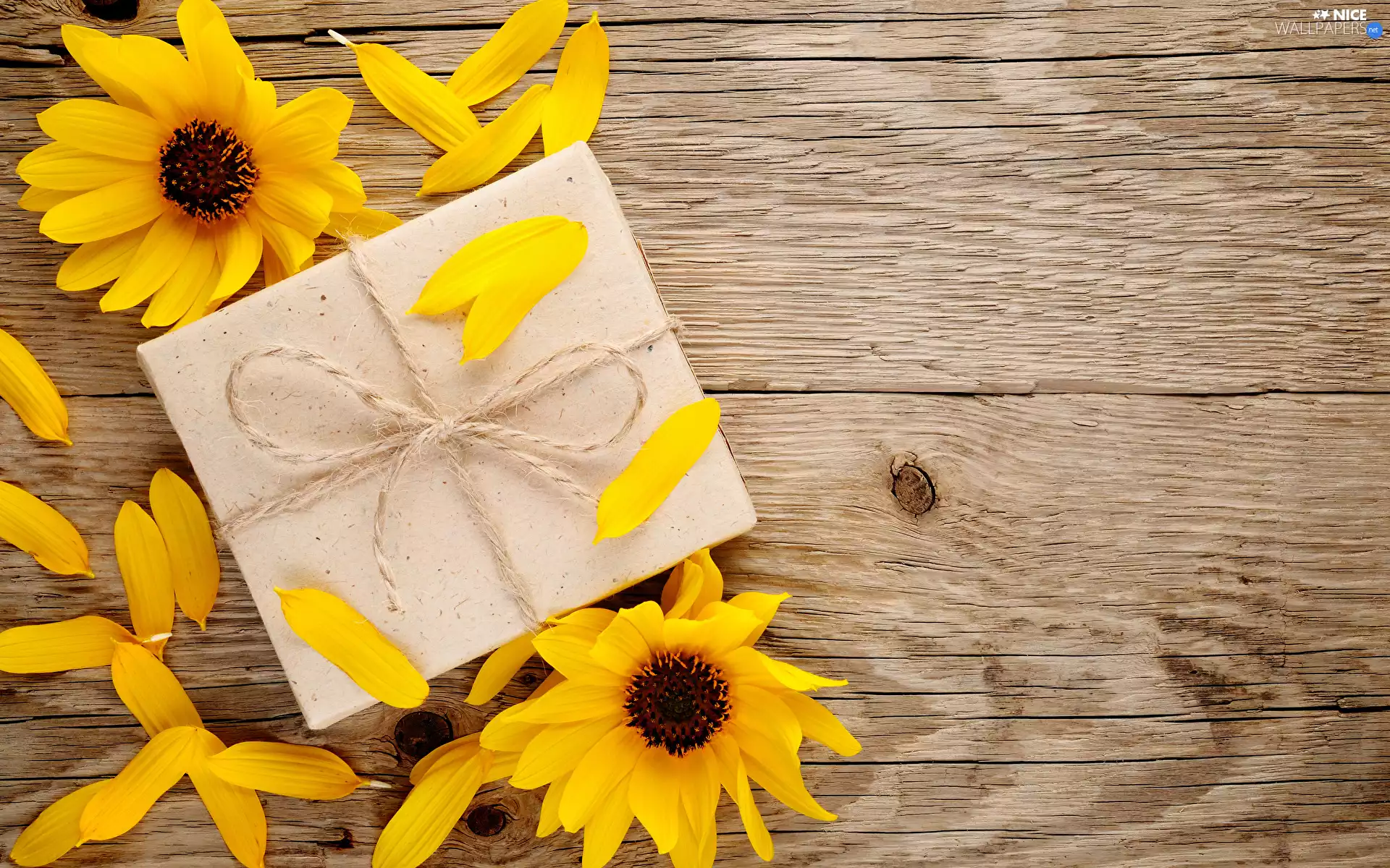 flakes, Flowers, twine, boarding, Present, decorative Sunflowers