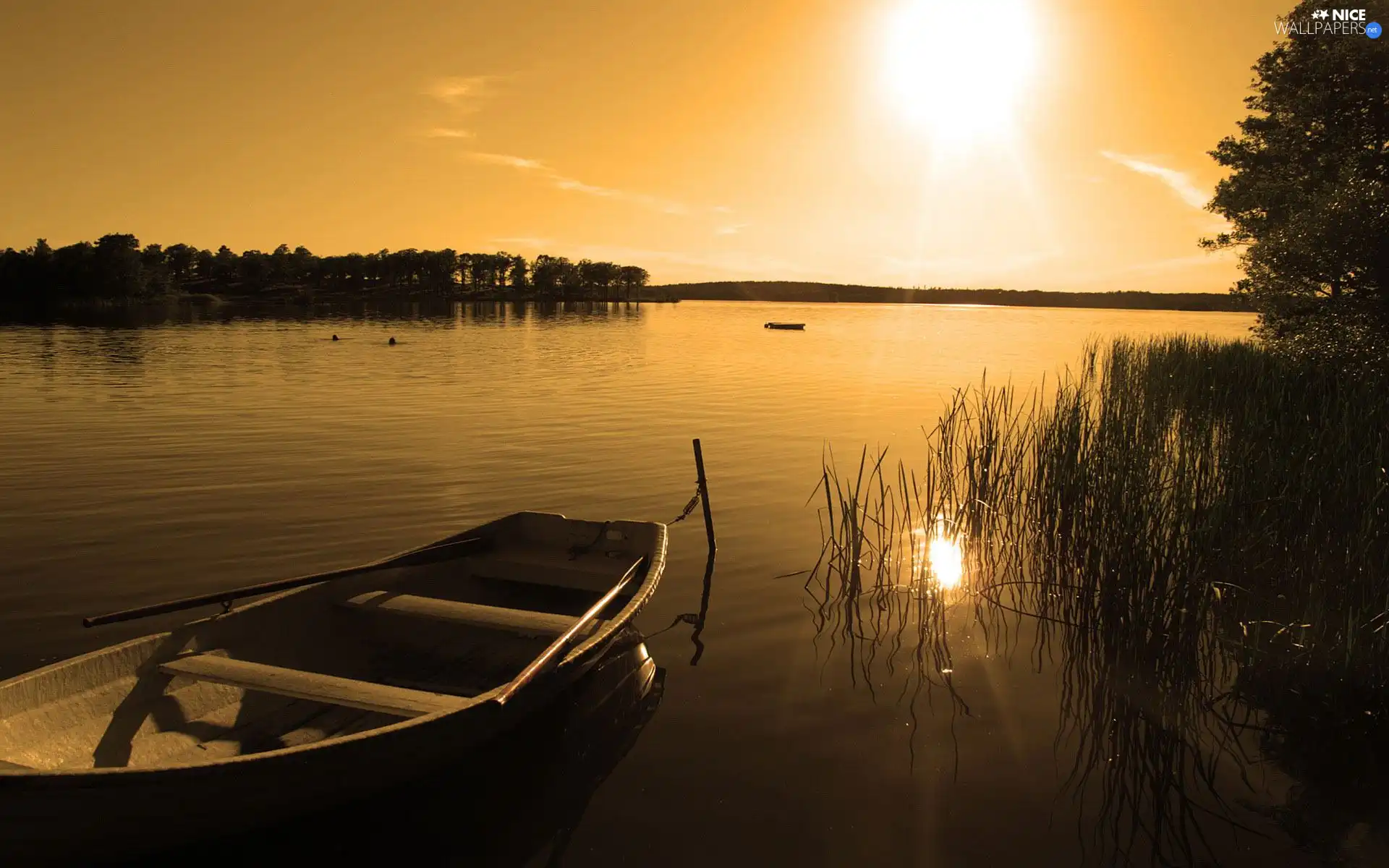 lake, sun, Boat, scrub