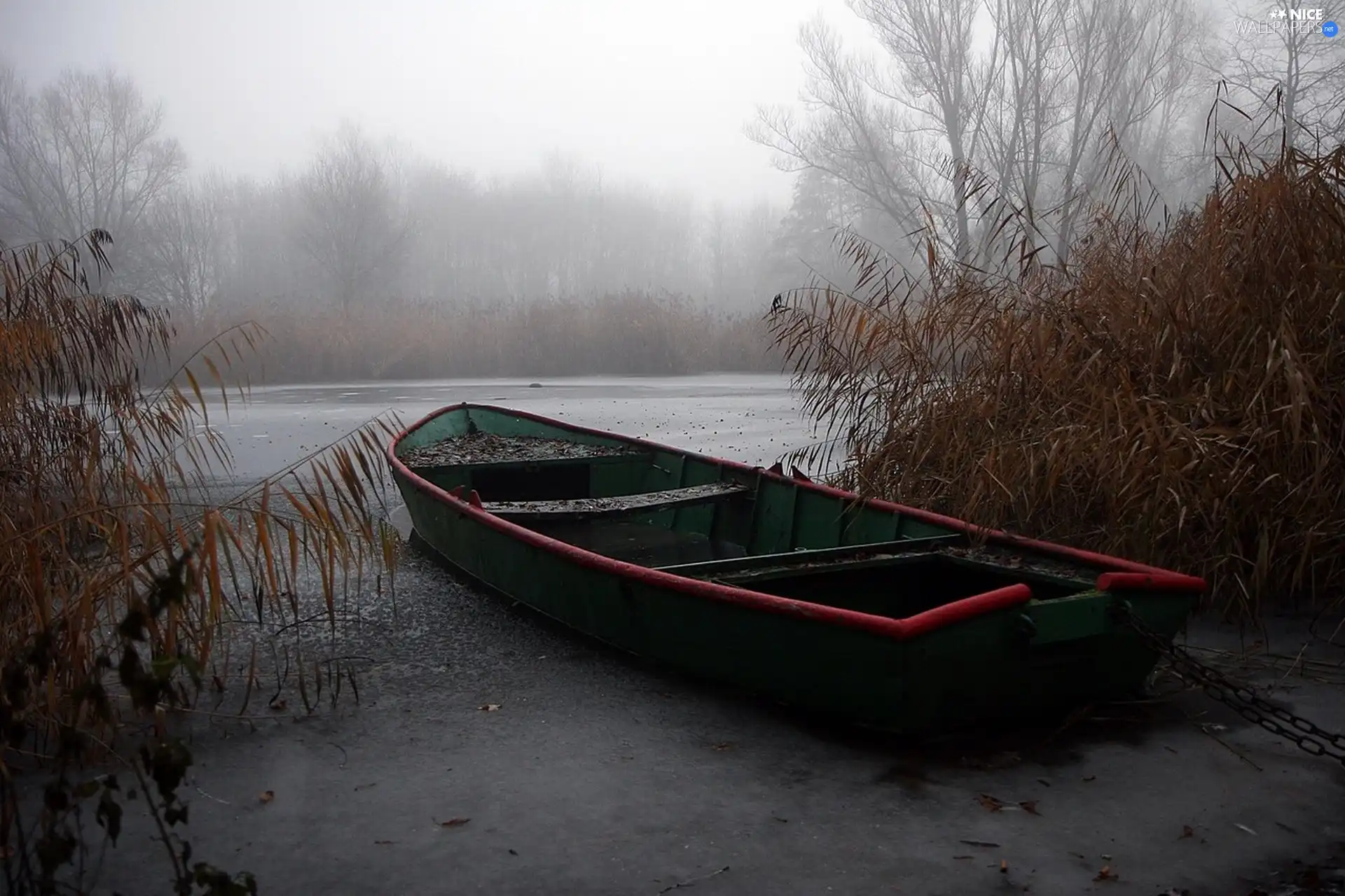 Wetlands, Boat