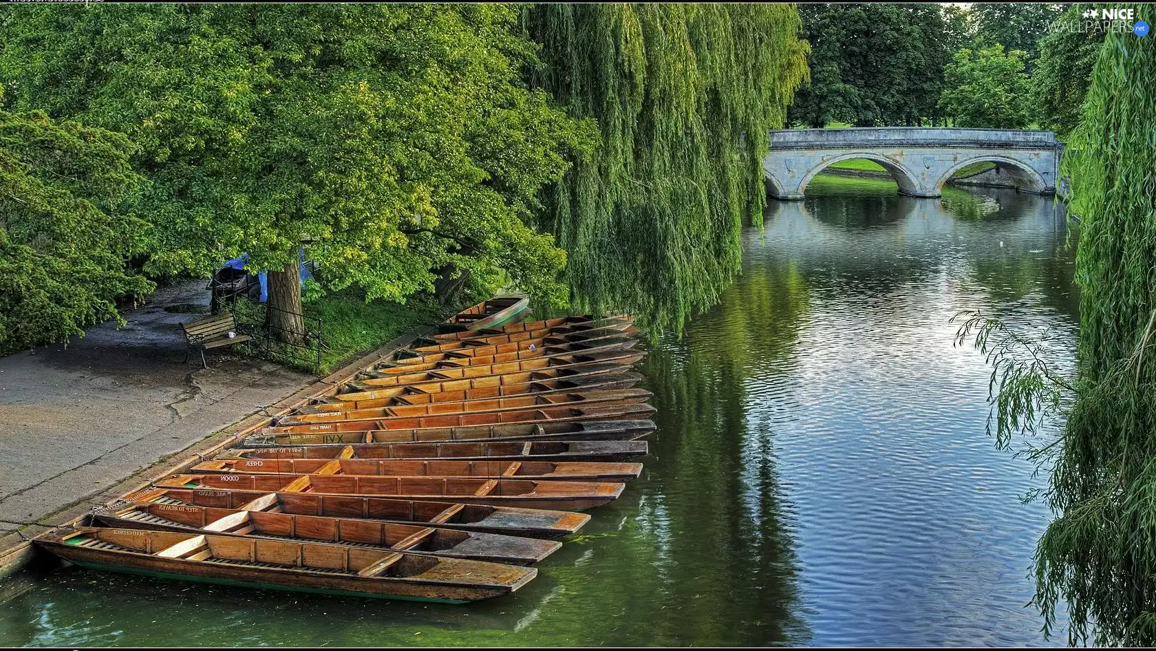 Park, River, bridge, boats