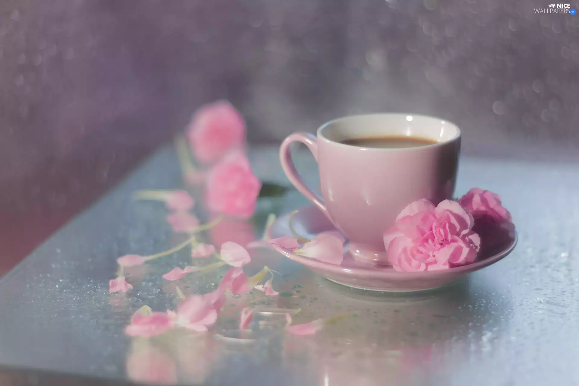 coffee, Bokeh, cup, cloves, Pink