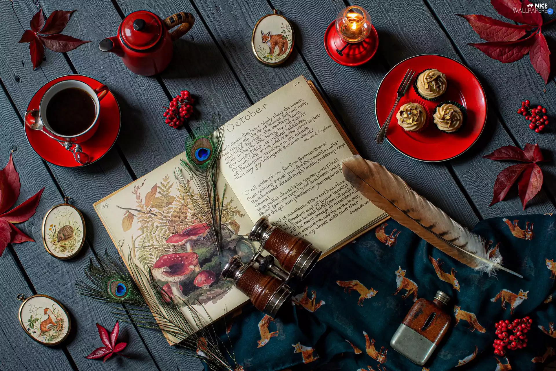 Book, composition, binoculars, cup, Leaf, Plant, coffee, pen, plate