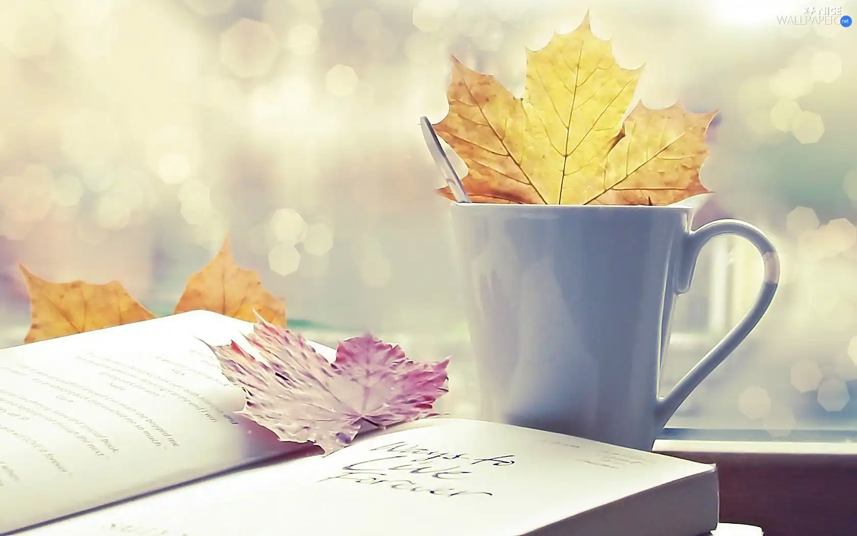 Book, Leaf, Cup