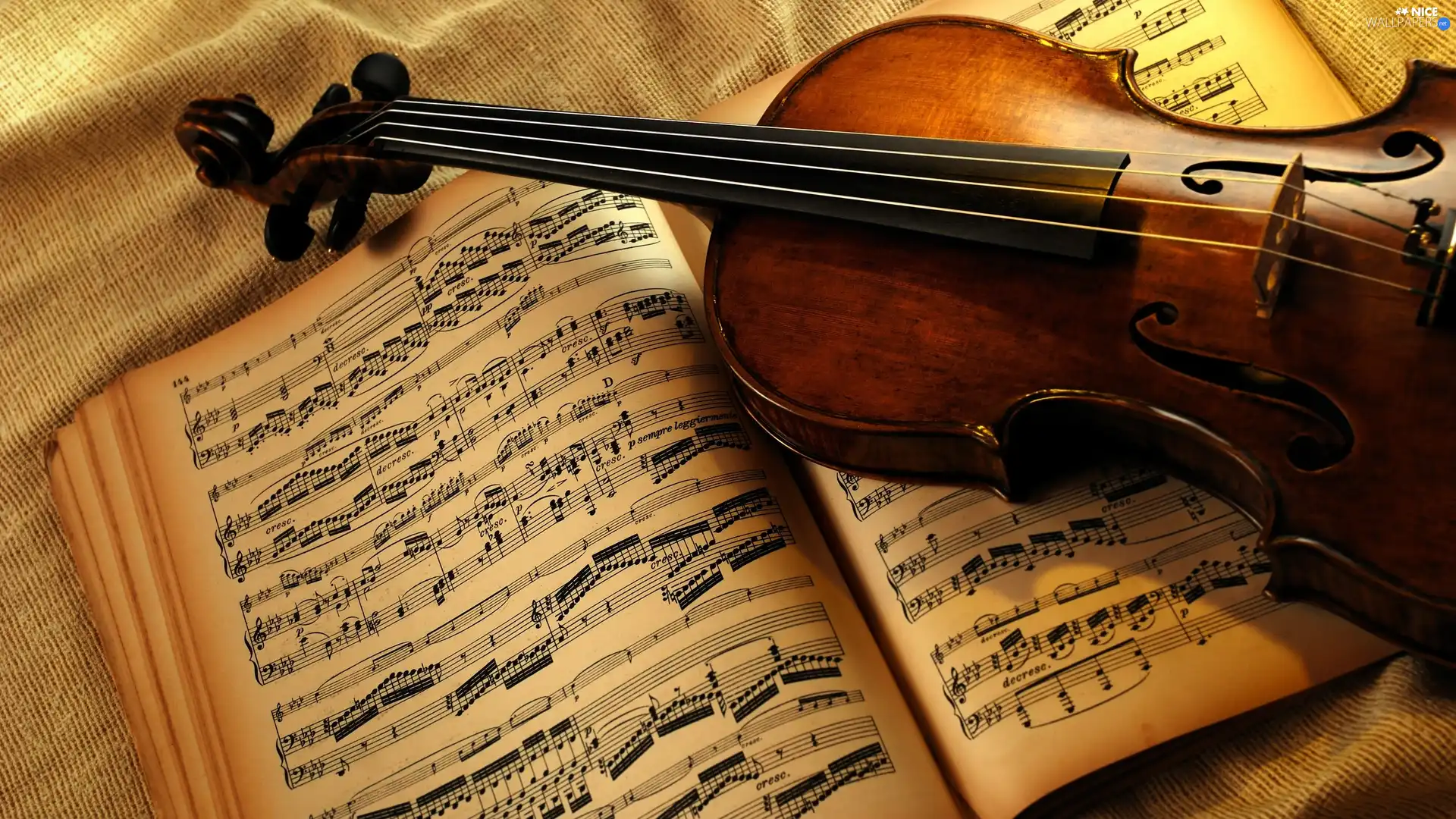 Book, violin, Tunes