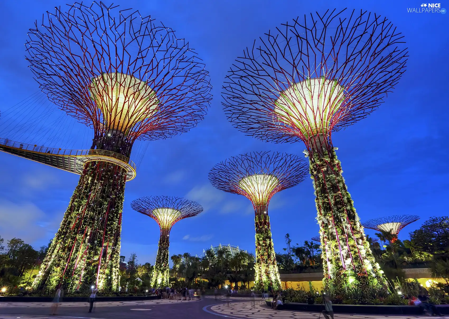 botanical, Singapur, Garden