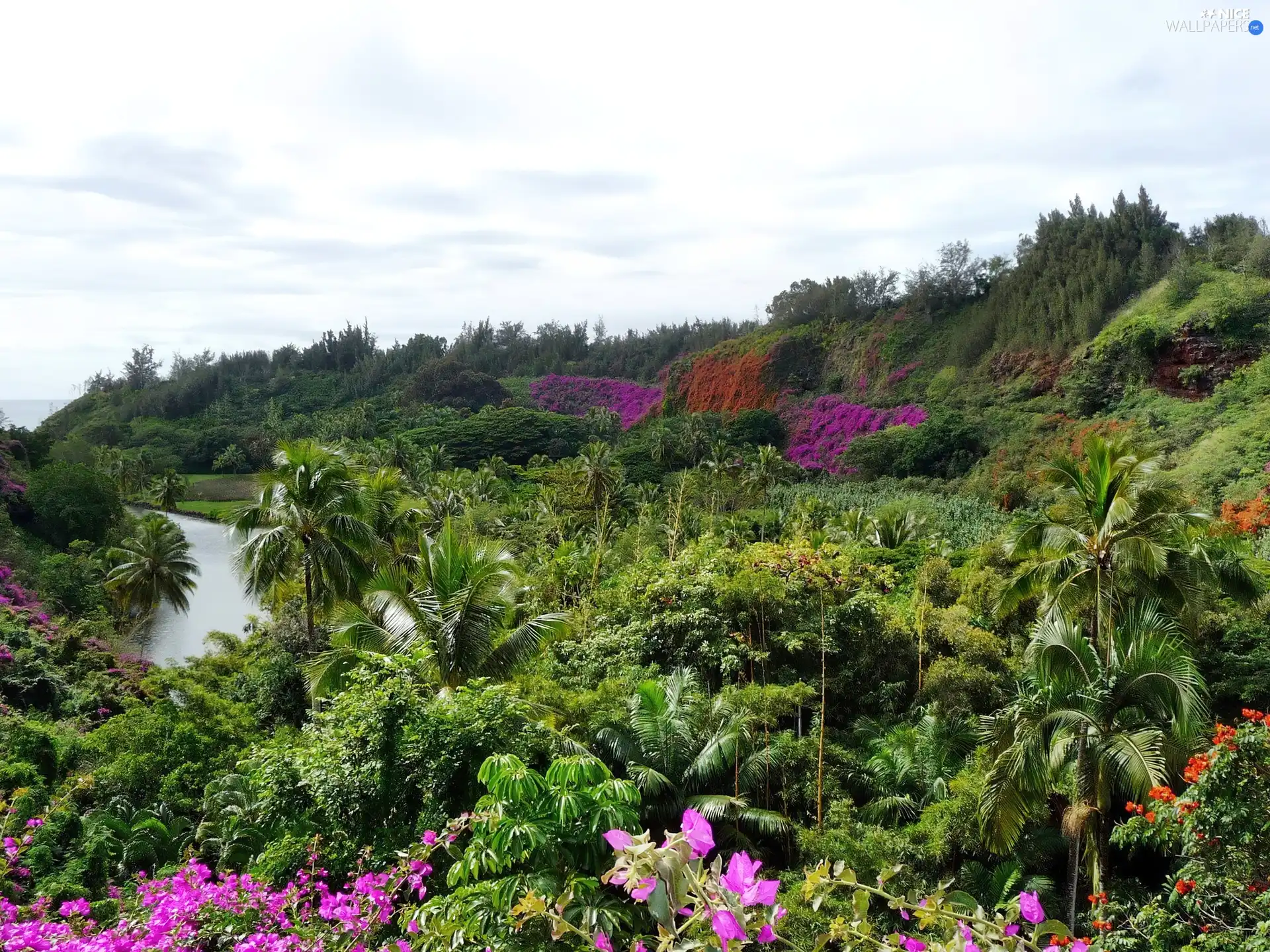 Aloha State Hawaje, Garden, botanical