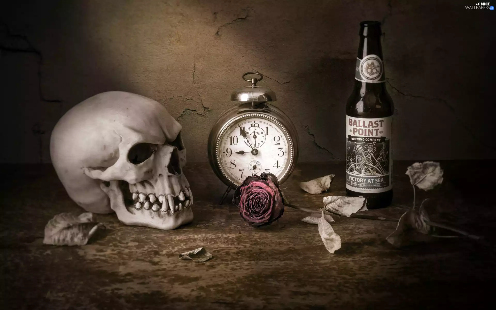 Leaf, skull, alarm clock, dry, composition, rose, Bottle