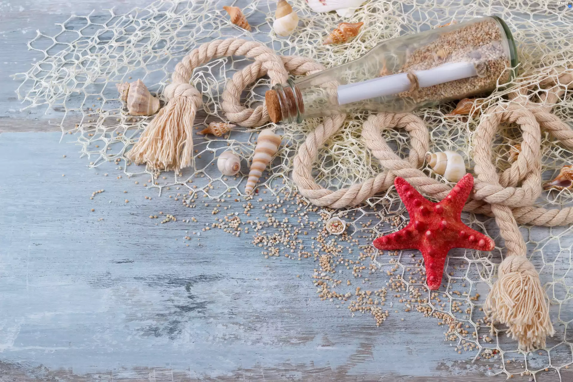 string, Bottle, starfish, Shells, composition