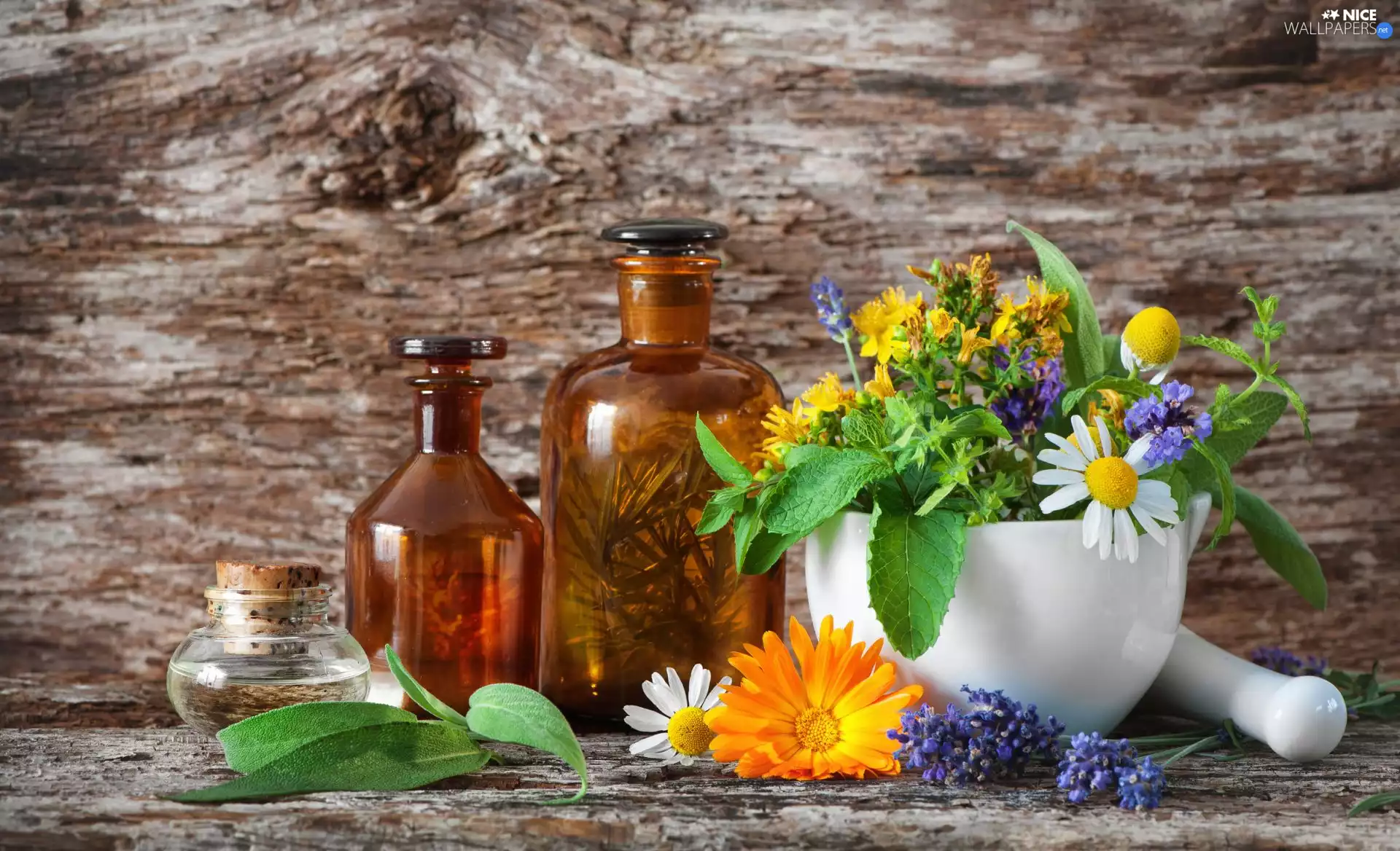 mortar, Bottles, Flowers, Herbs, Plants