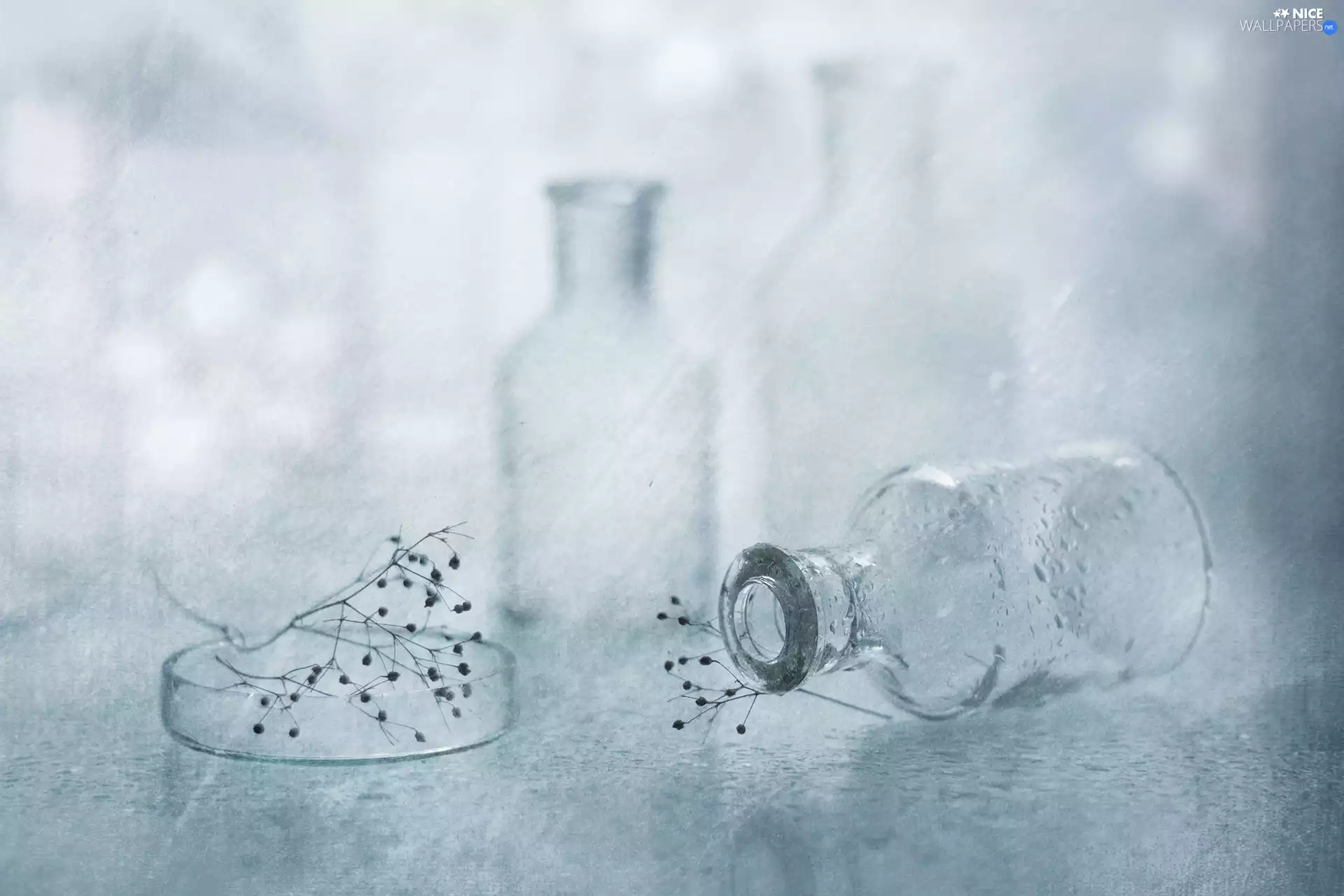 glass, Bottles, still life, Two