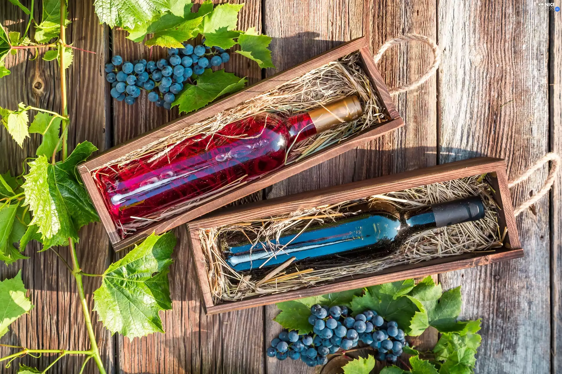 Wines, Grapes, composition, Bottles