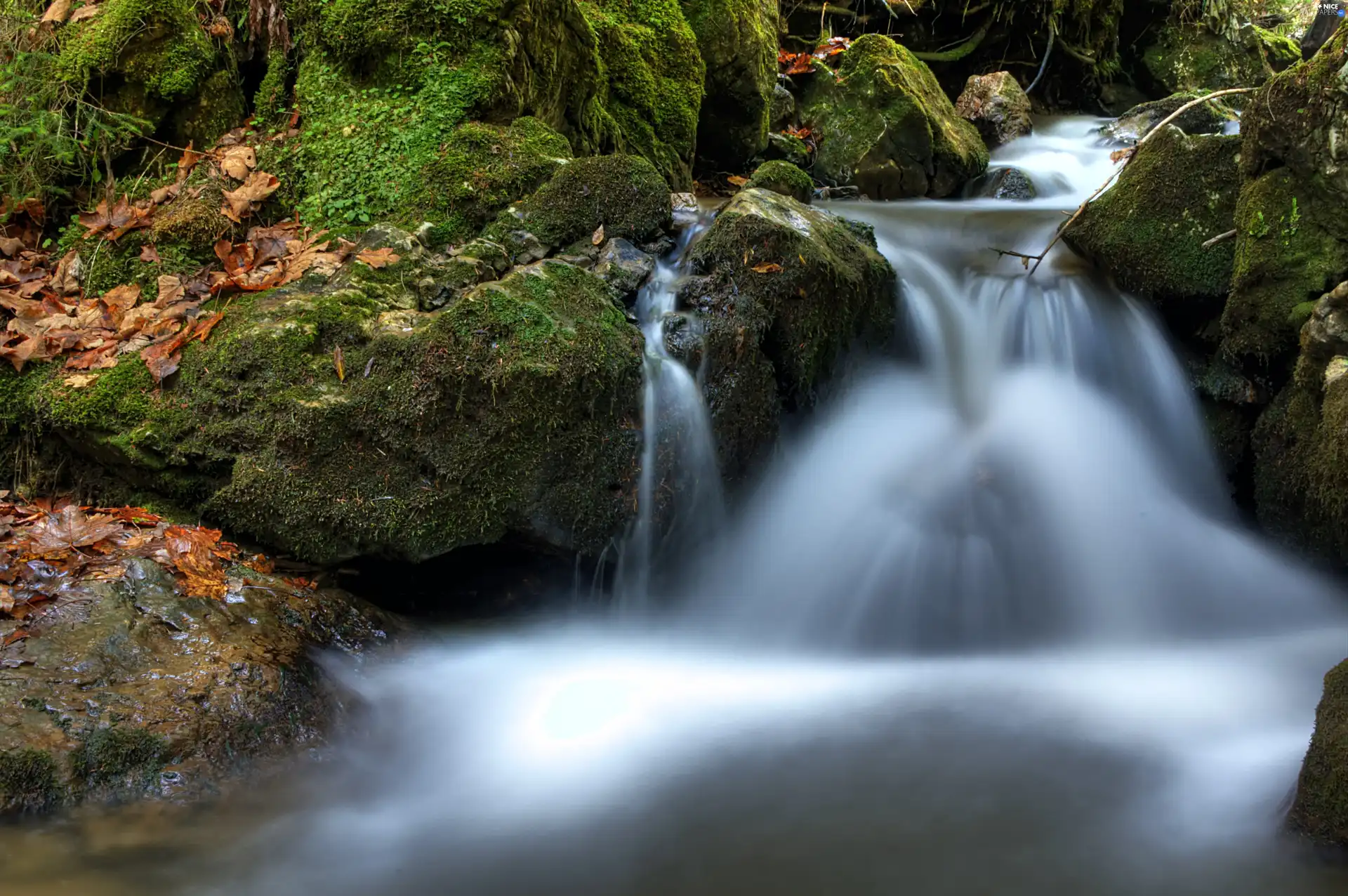 autumn, mossy, boulders, waterfall