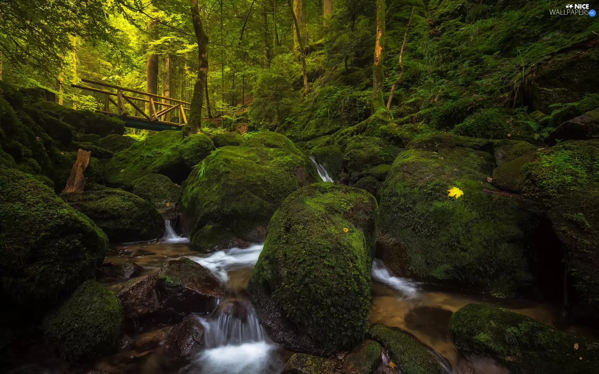 stream, mossy, bridge, Stones, wooden, River, forest, boulders