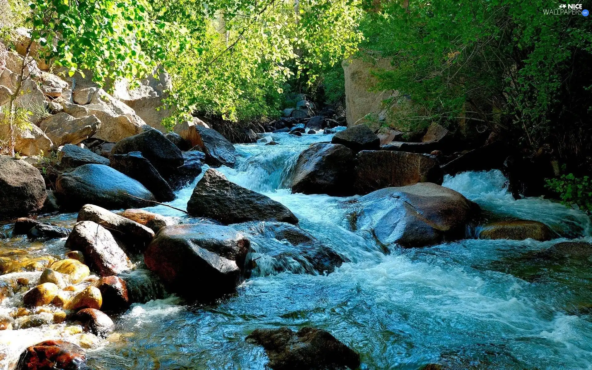 boulders, stream, current