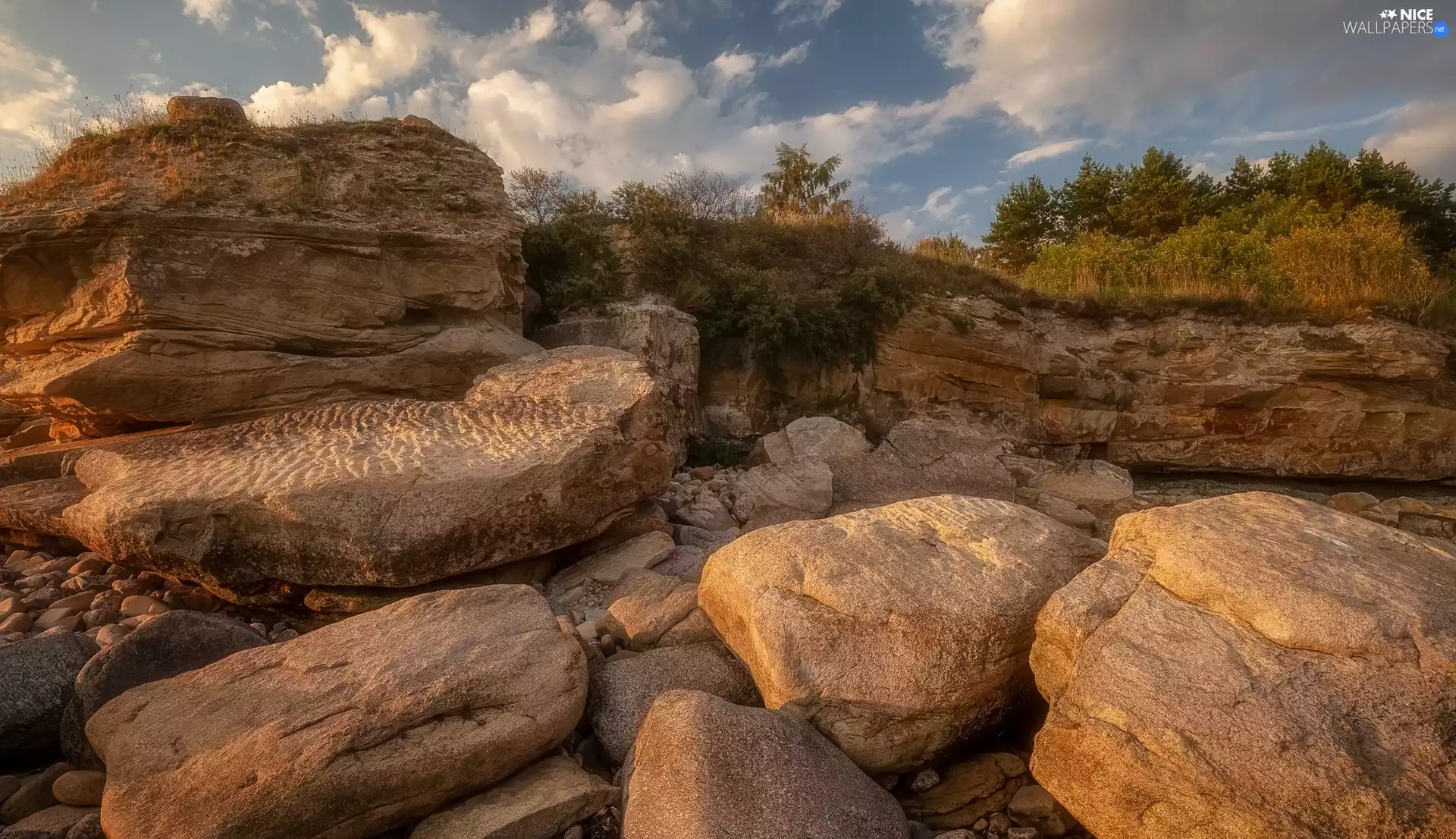 trees, Rocks, Plants, boulders, Stones, viewes, grass