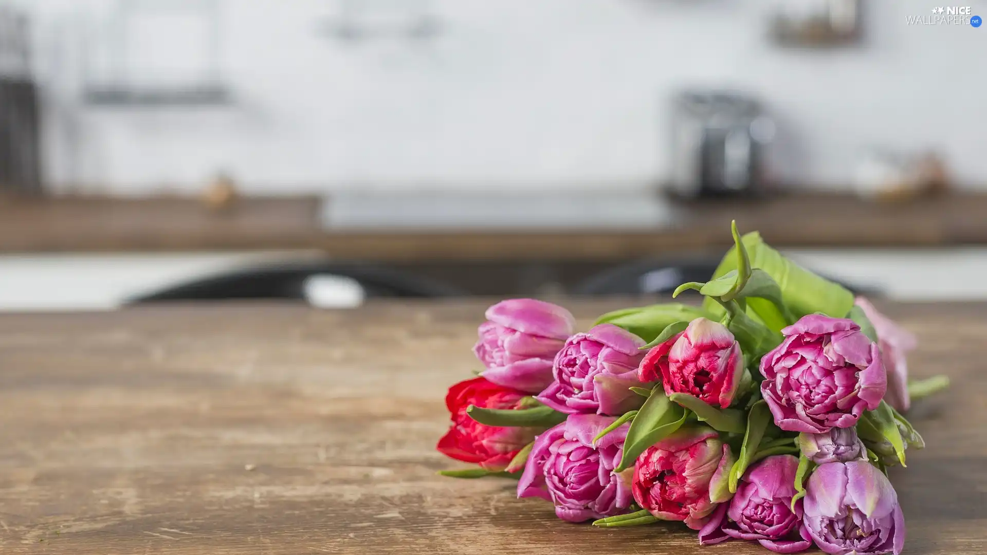 bouquet, Tulips, color