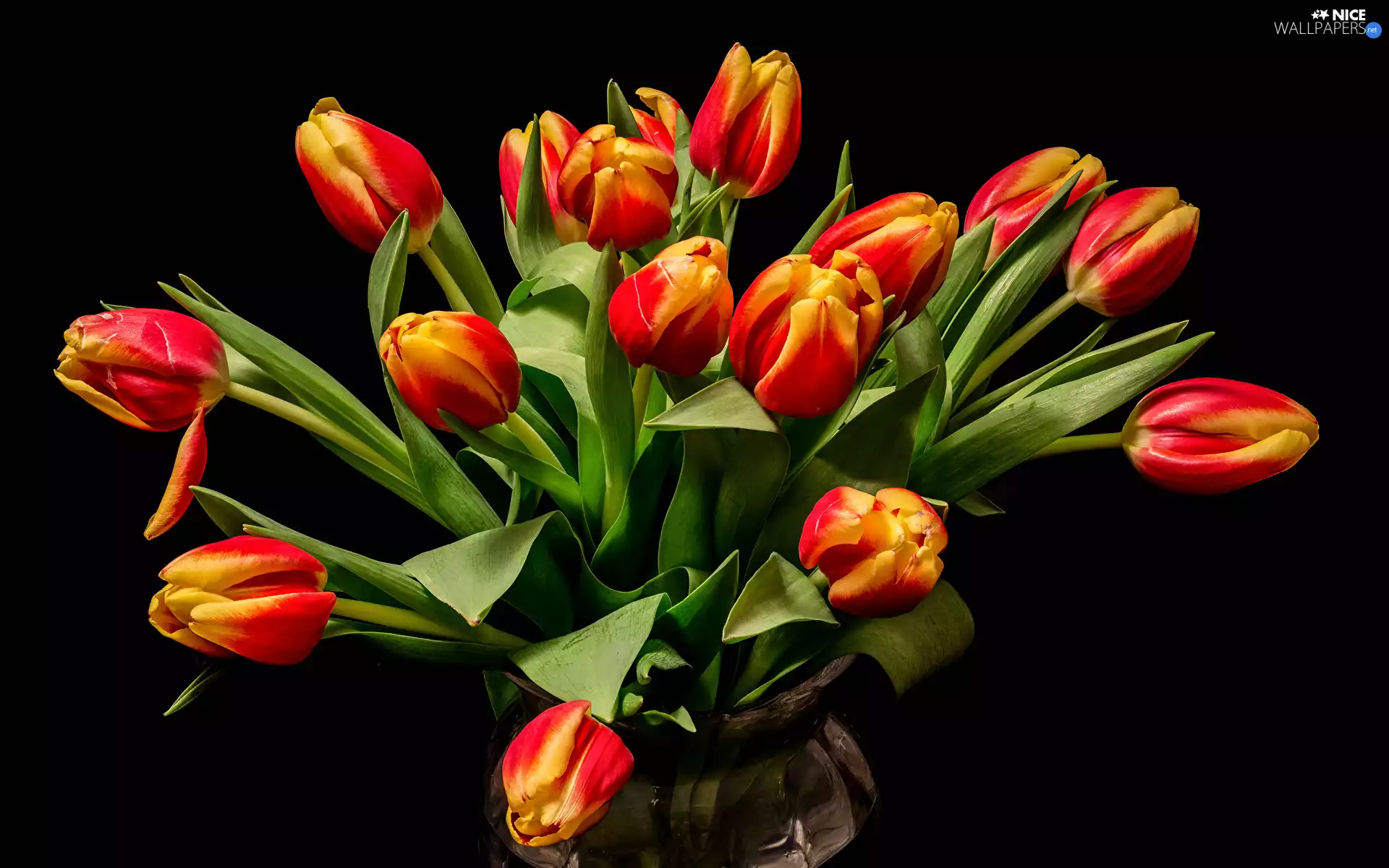 Red-Yellow, Flowers, Vase, Black Background, Tulips, bouquet