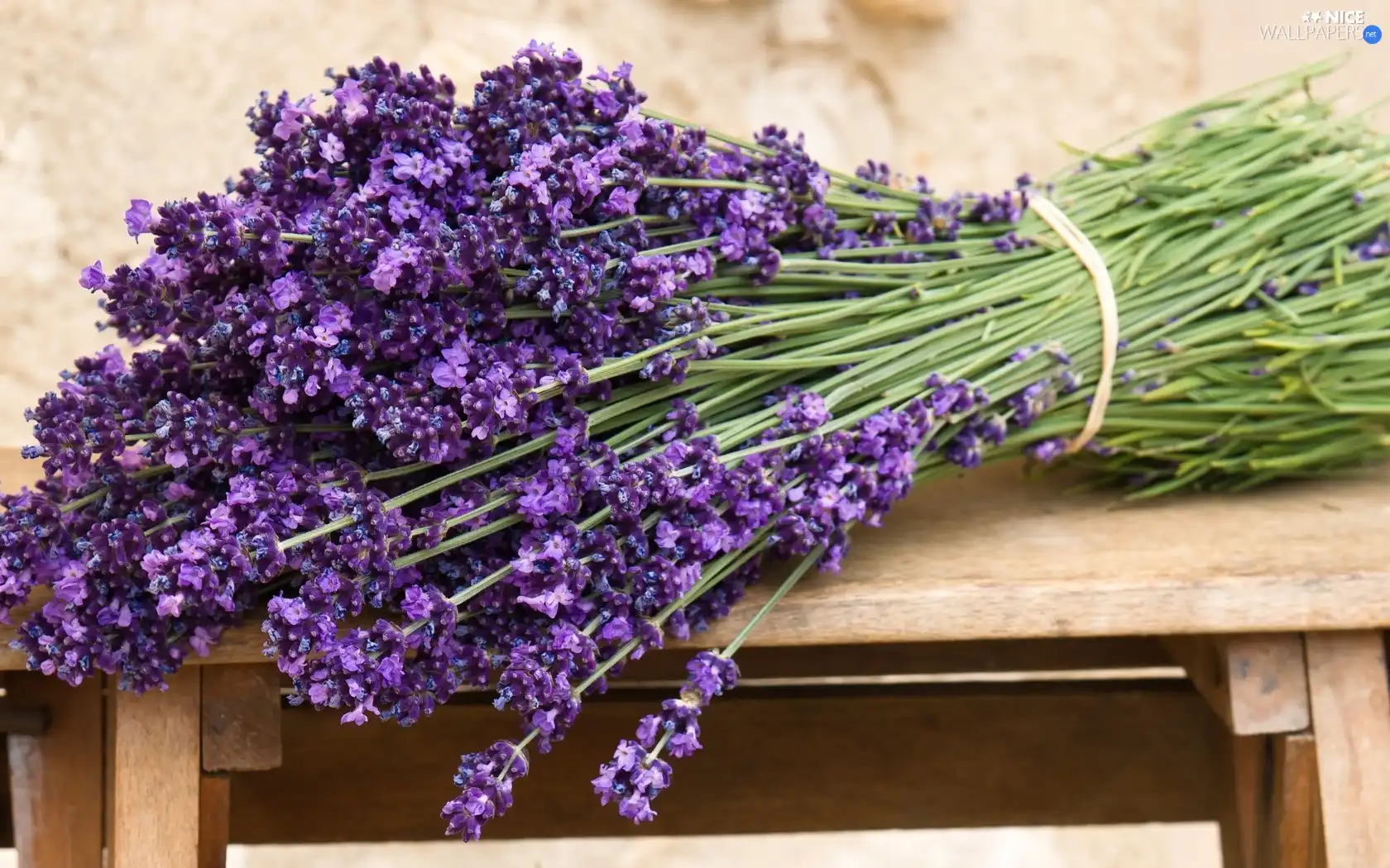 lavender, bouquet