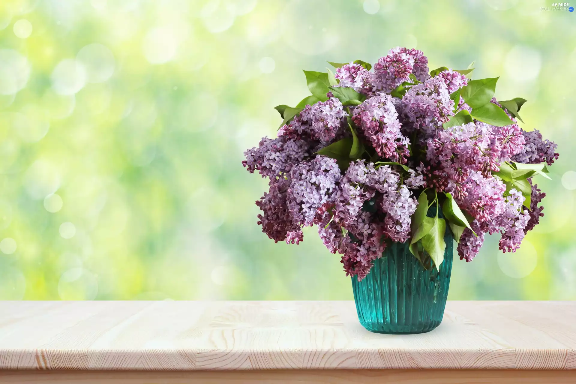 Vase, bouquet, without, Syringa, Flowers