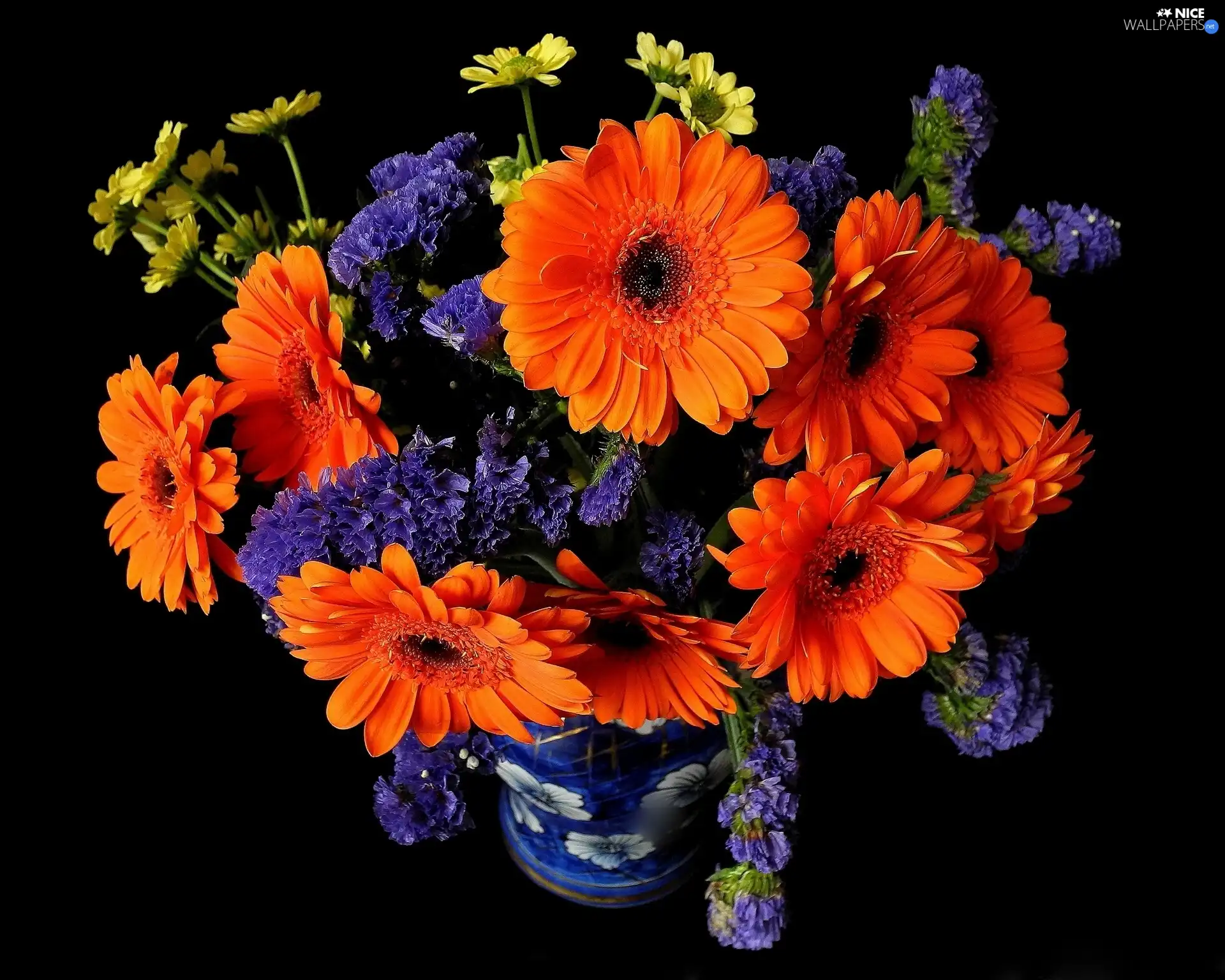 Flowers, gerberas, bowl, bouquet