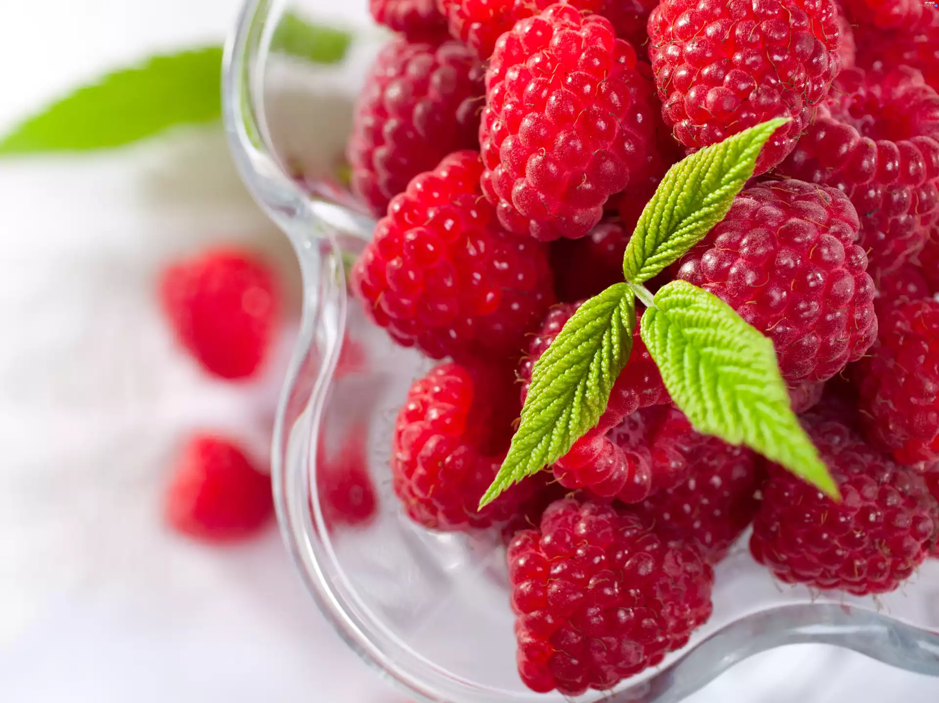 bowl, raspberries, leaf